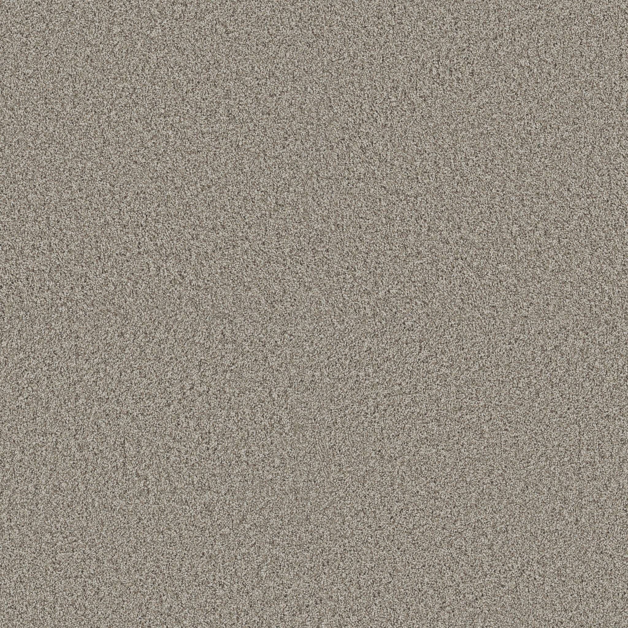 Replenished I Carpet - Landscape Zoomed Swatch Image