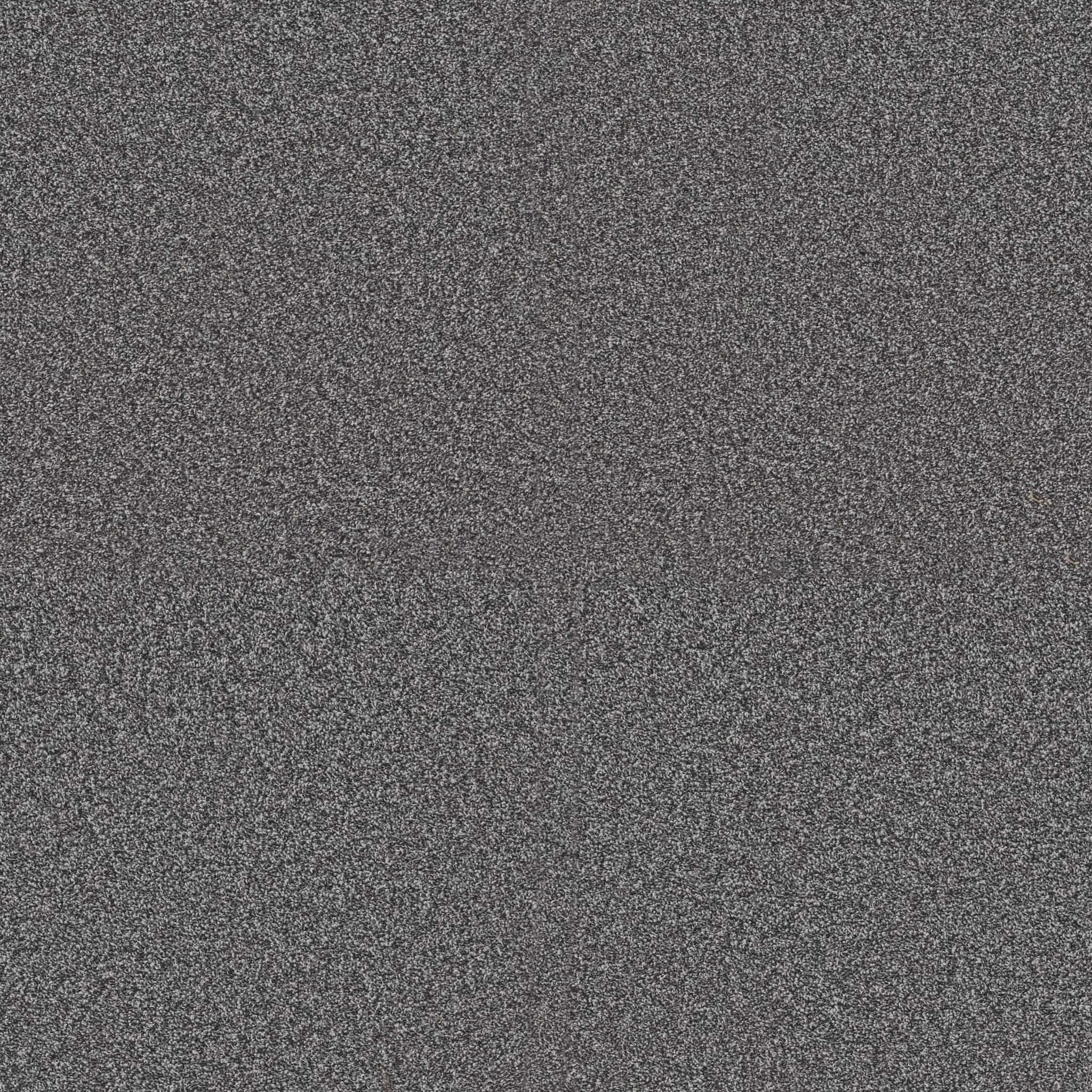 Replenished I Carpet - River Rock Zoomed Swatch Image