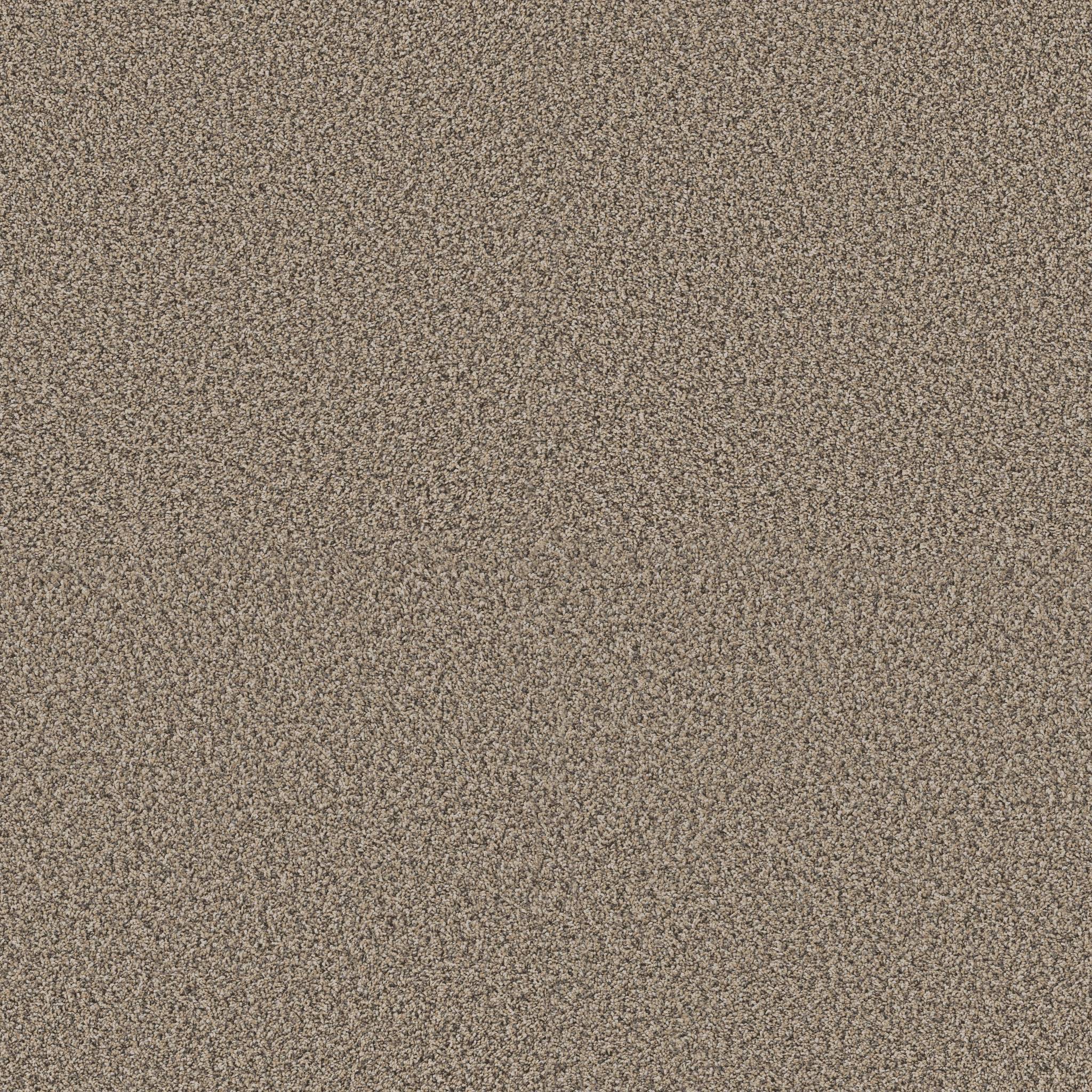 Replenished I Carpet - Khaki Zoomed Swatch Image