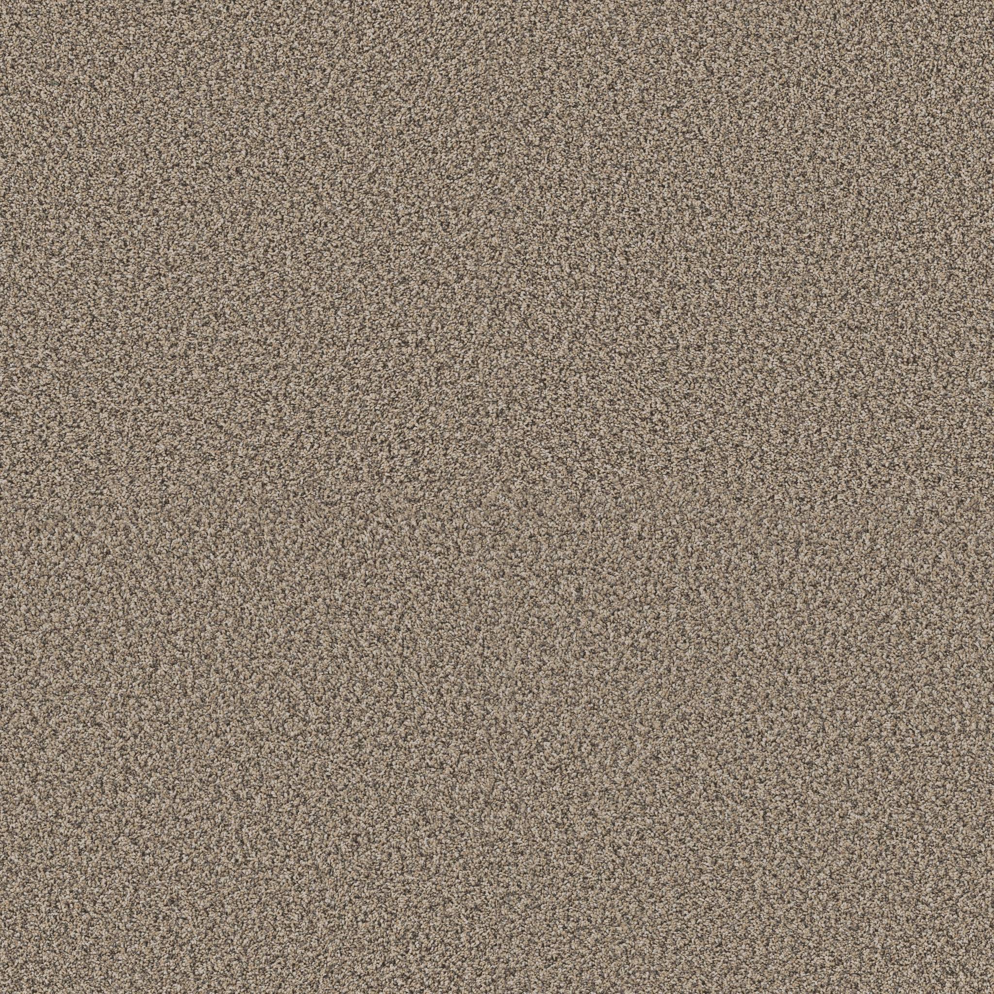 Replenished I Carpet - Khaki Zoomed Swatch Image