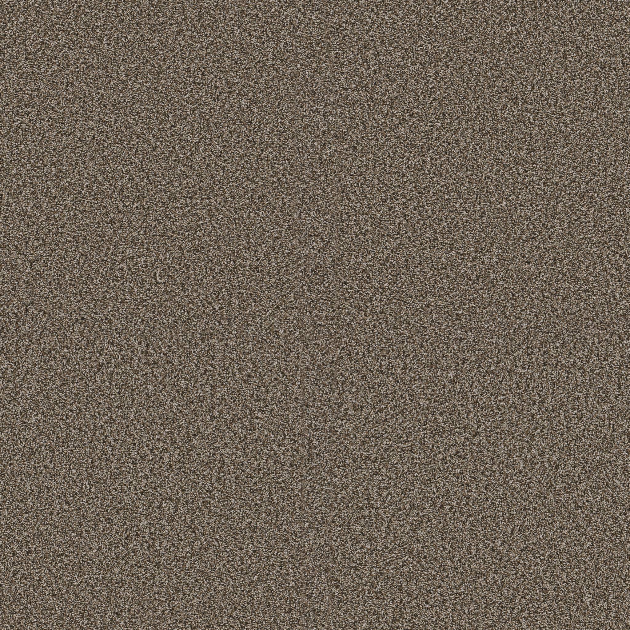 Replenished I Carpet - Fence Post Zoomed Swatch Image
