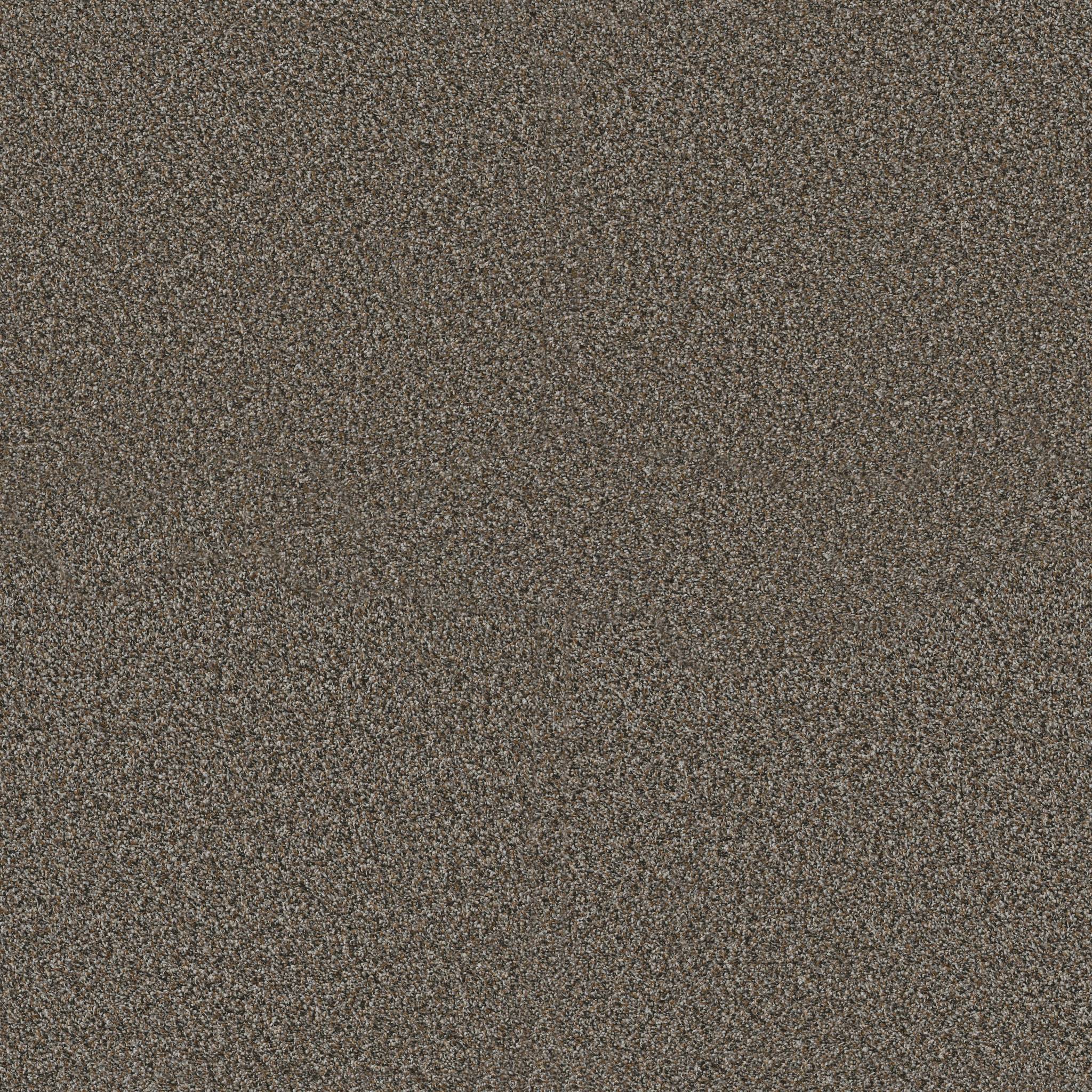 Replenished I Carpet - Mineral Bed Zoomed Swatch Image