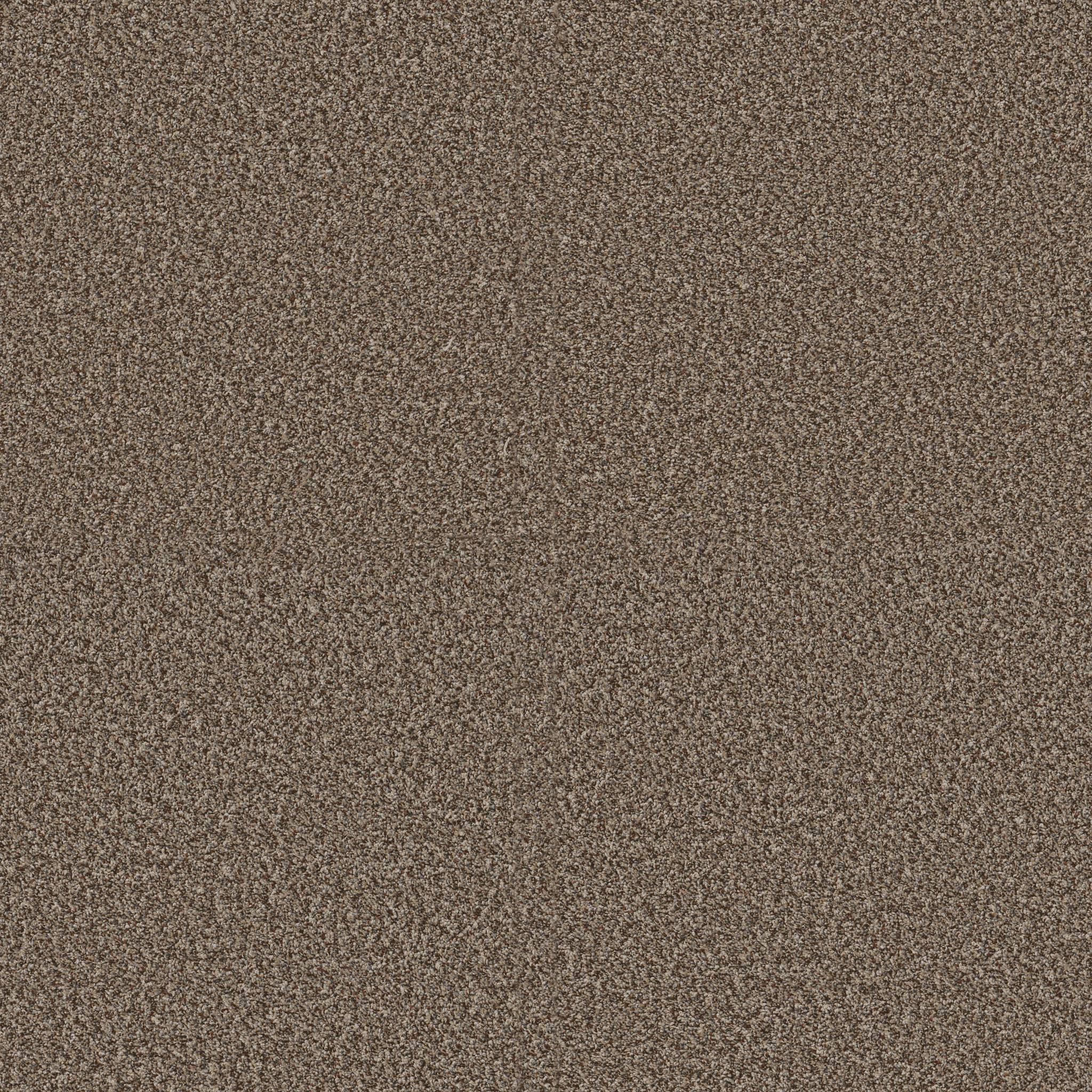 Replenished II Carpet - Freckles Zoomed Swatch Image