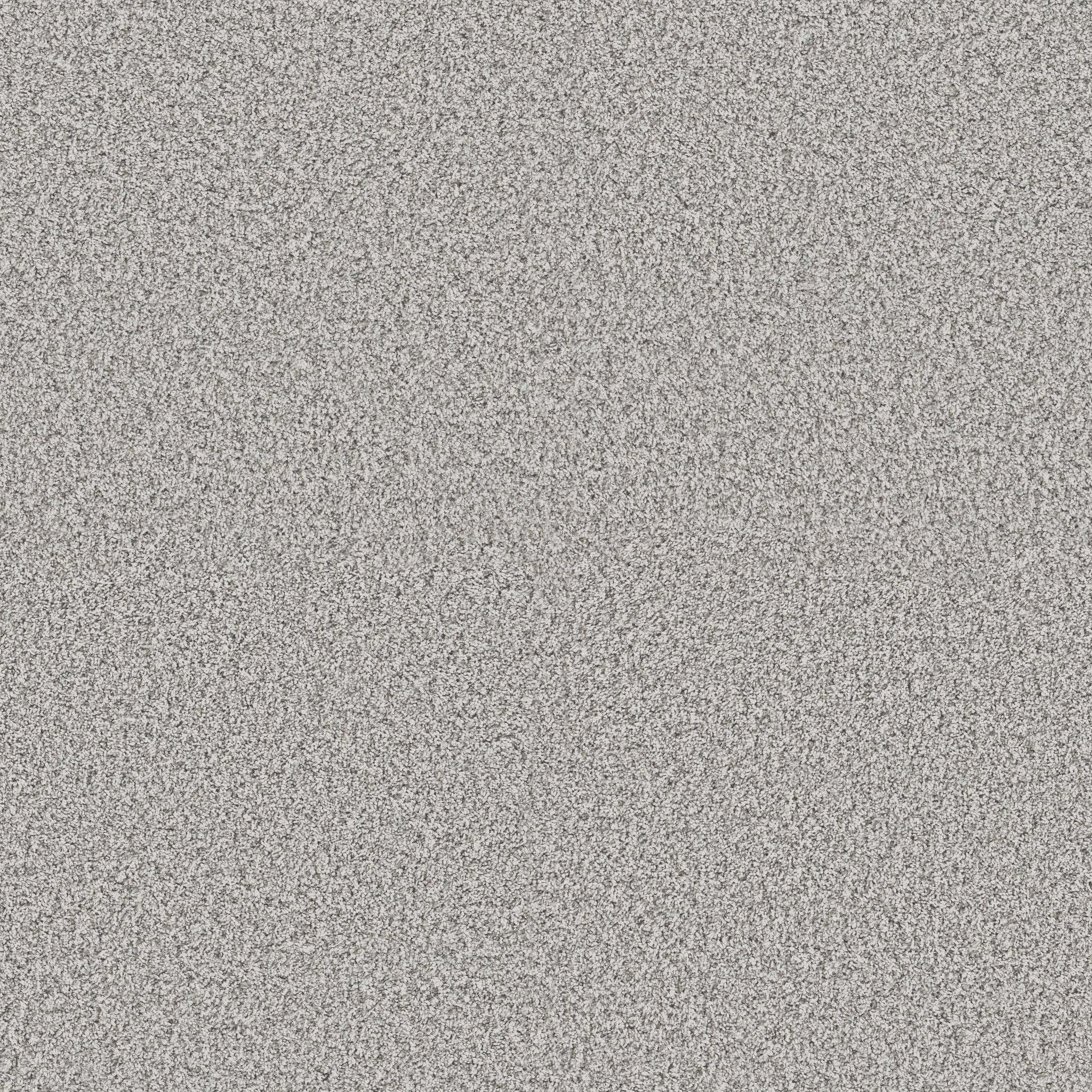 Replenished II Carpet - Snow Bound Zoomed Swatch Image