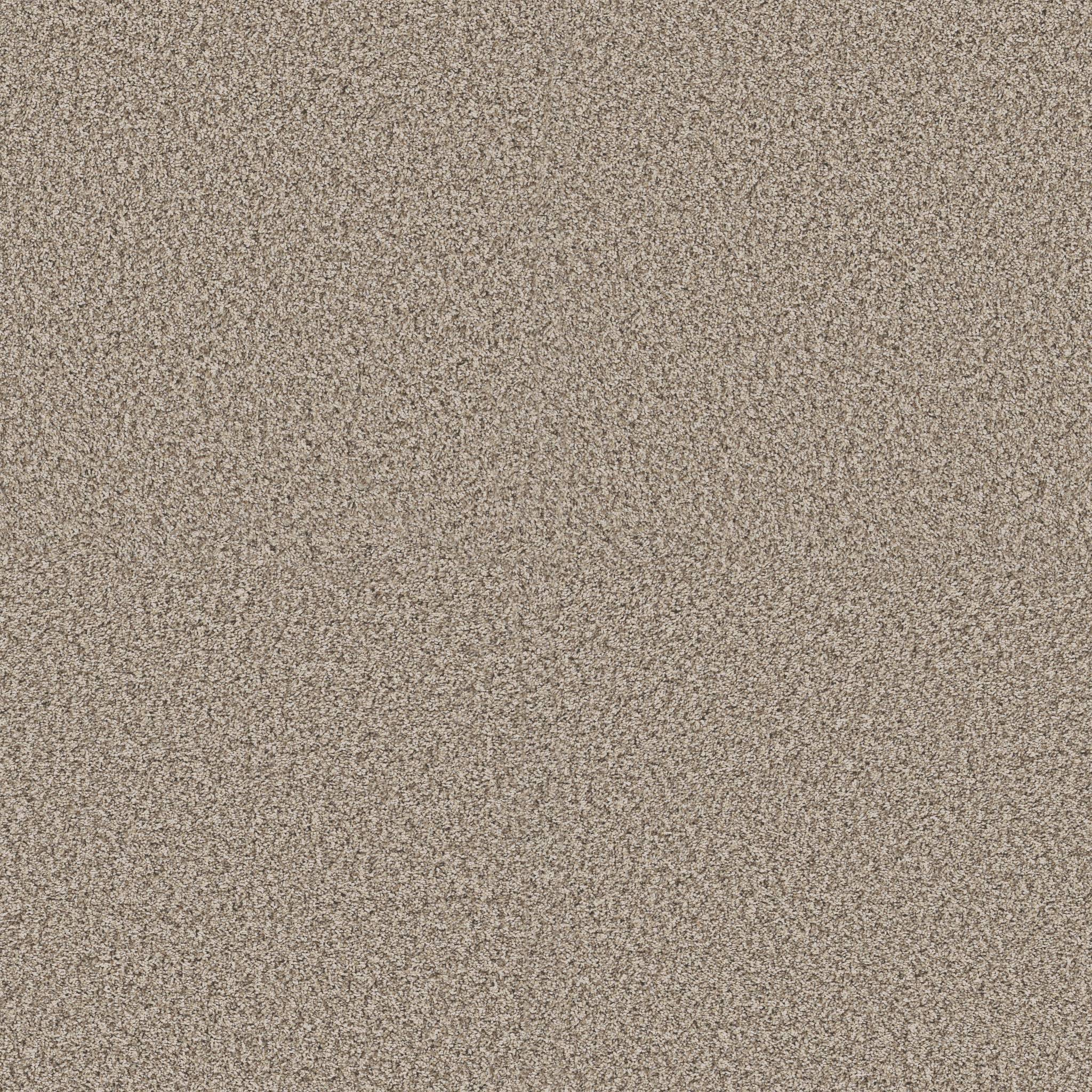 Replenished II Carpet - Sandstone Zoomed Swatch Image