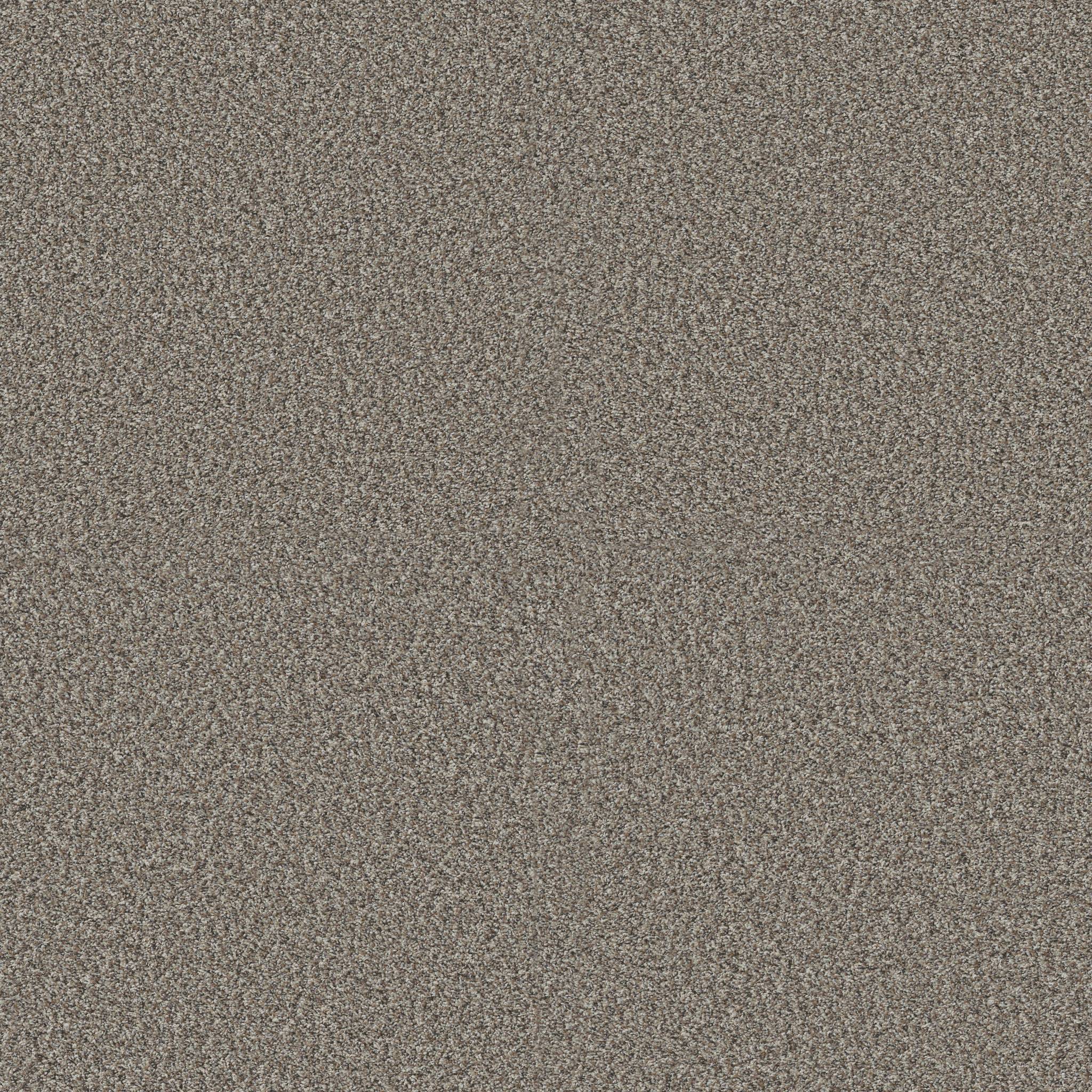 Replenished II Carpet - Granite Zoomed Swatch Image
