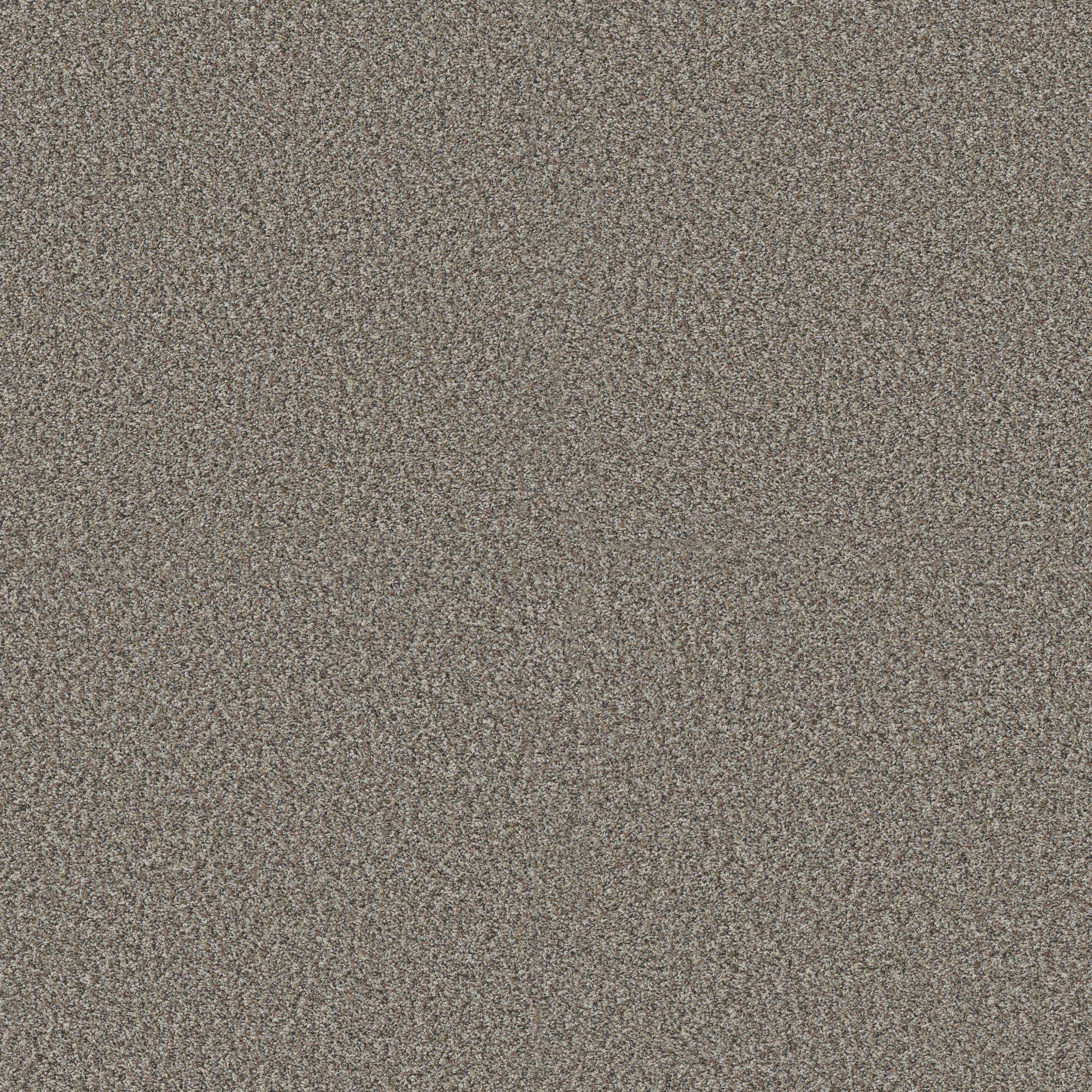 Replenished II Carpet - Granite Zoomed Swatch Image