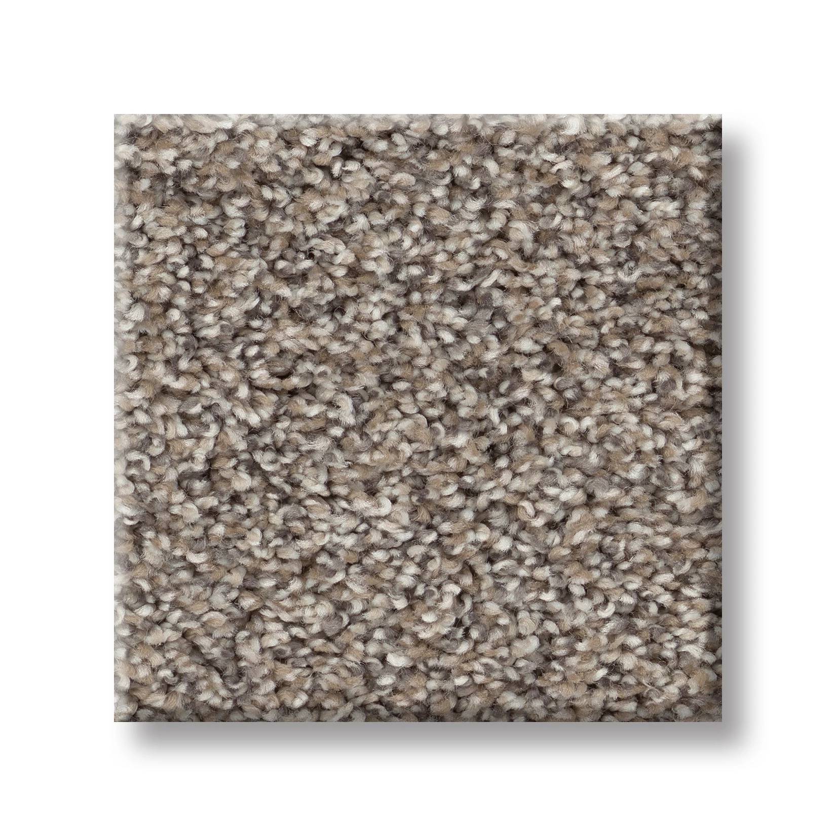 Replenished II Carpet - Granite Swatch Thumbnail pupop1