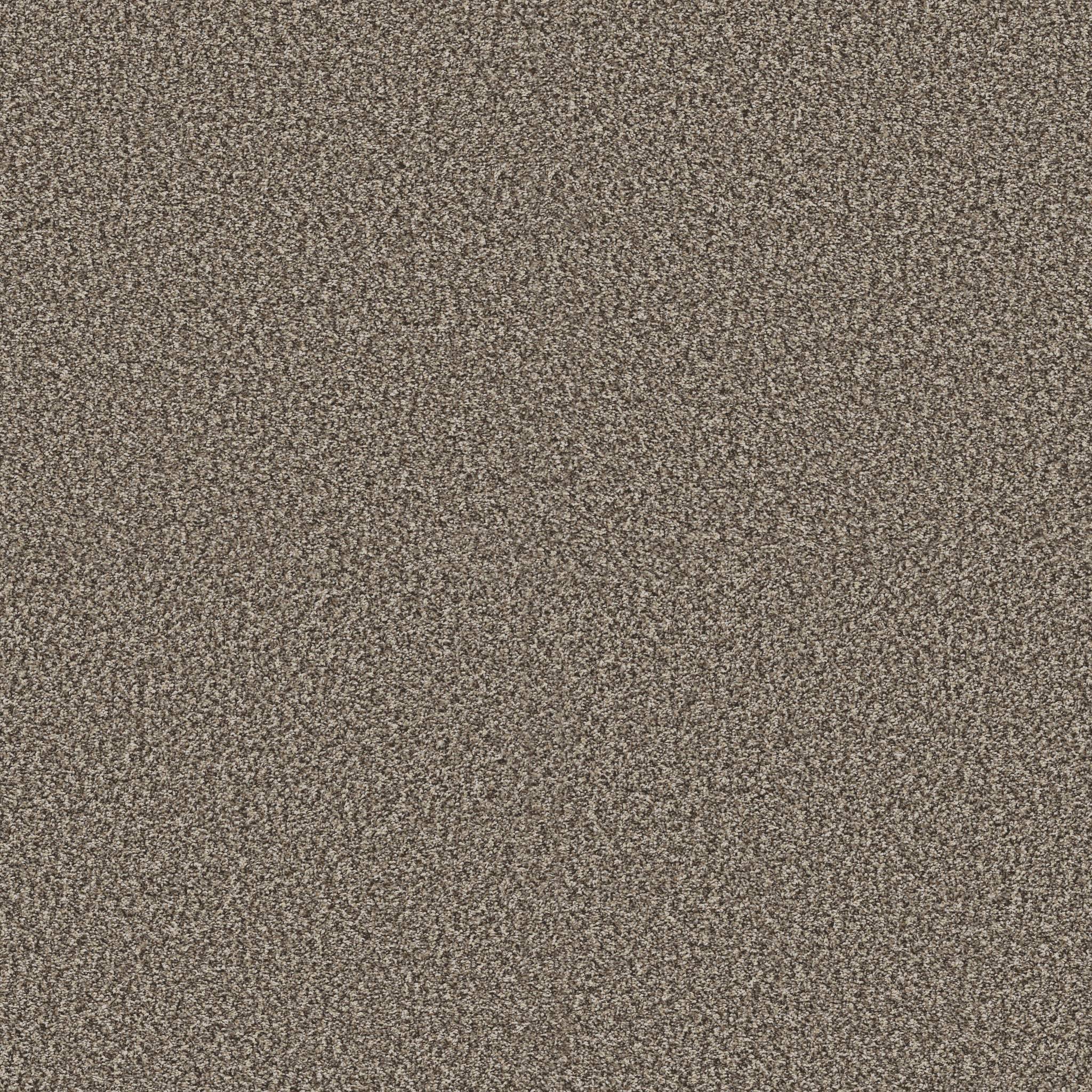 Replenished II Carpet - Countryside Zoomed Swatch Image