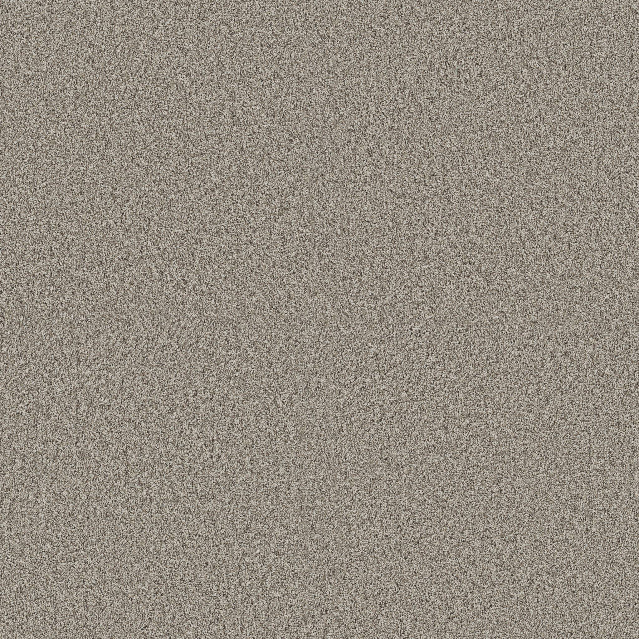 Replenished II Carpet - Landscape Zoomed Swatch Image