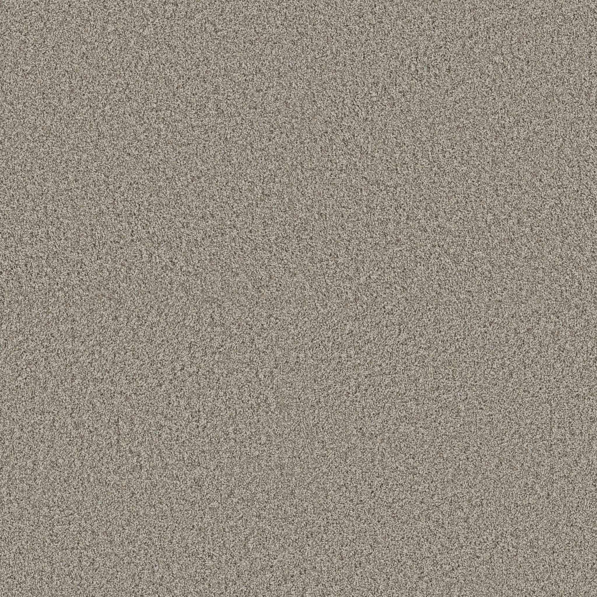 Replenished II Carpet - Landscape Zoomed Swatch Image