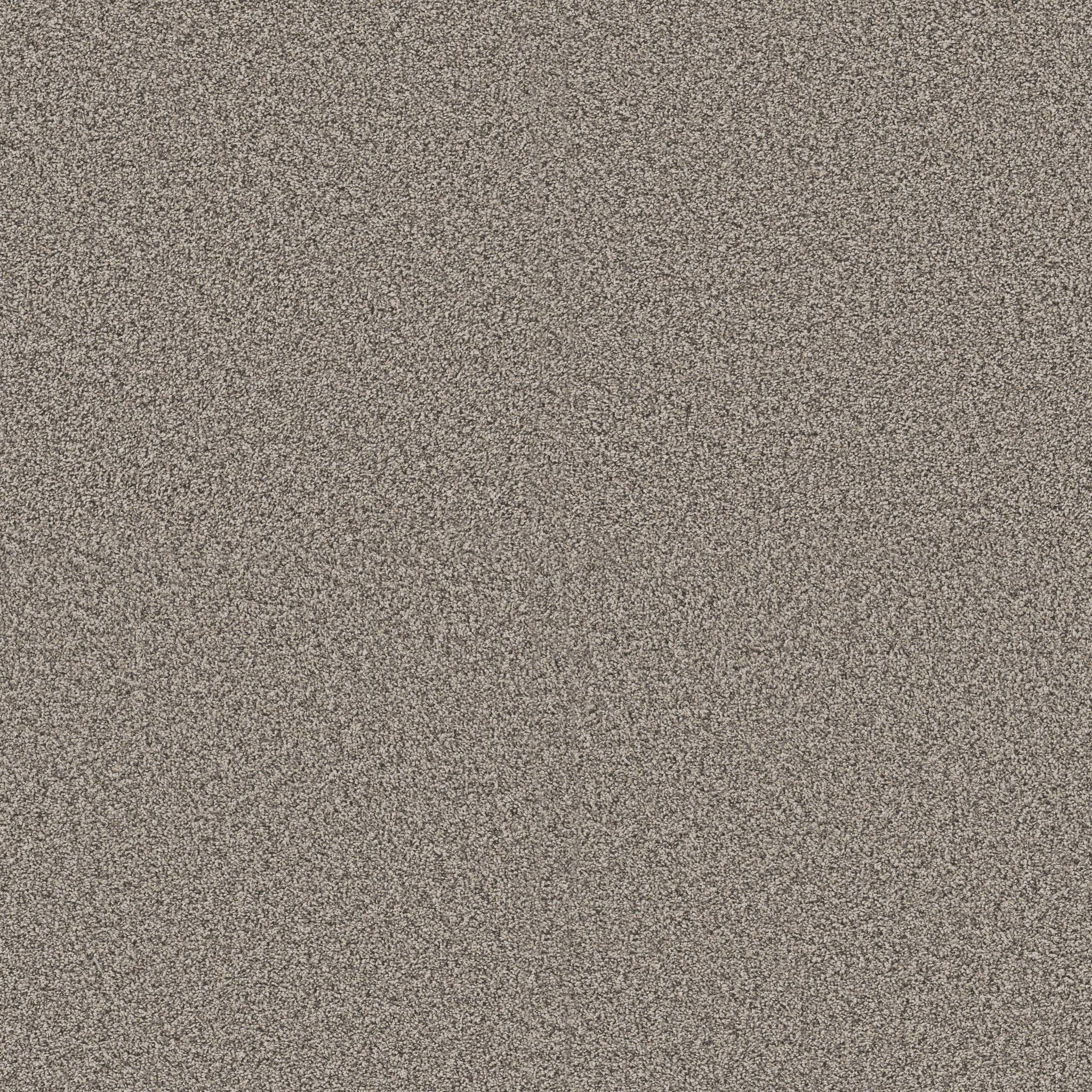 Replenished II Carpet - Prairie Run Zoomed Swatch Image