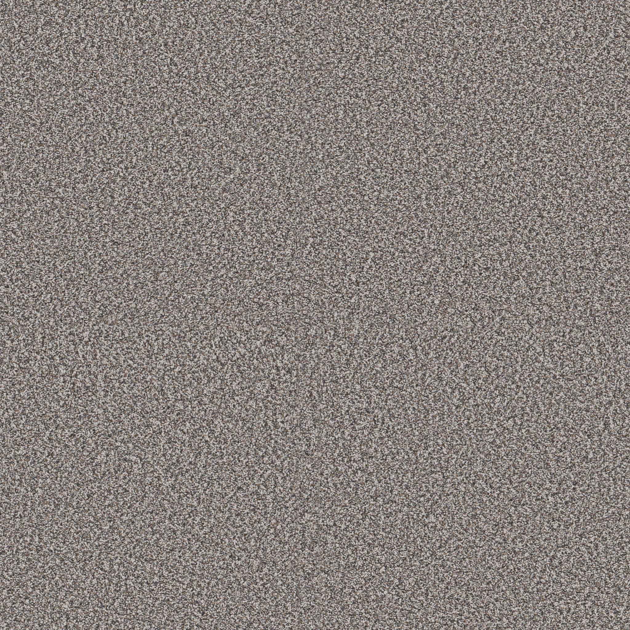 Replenished II Carpet - Fog Zoomed Swatch Image