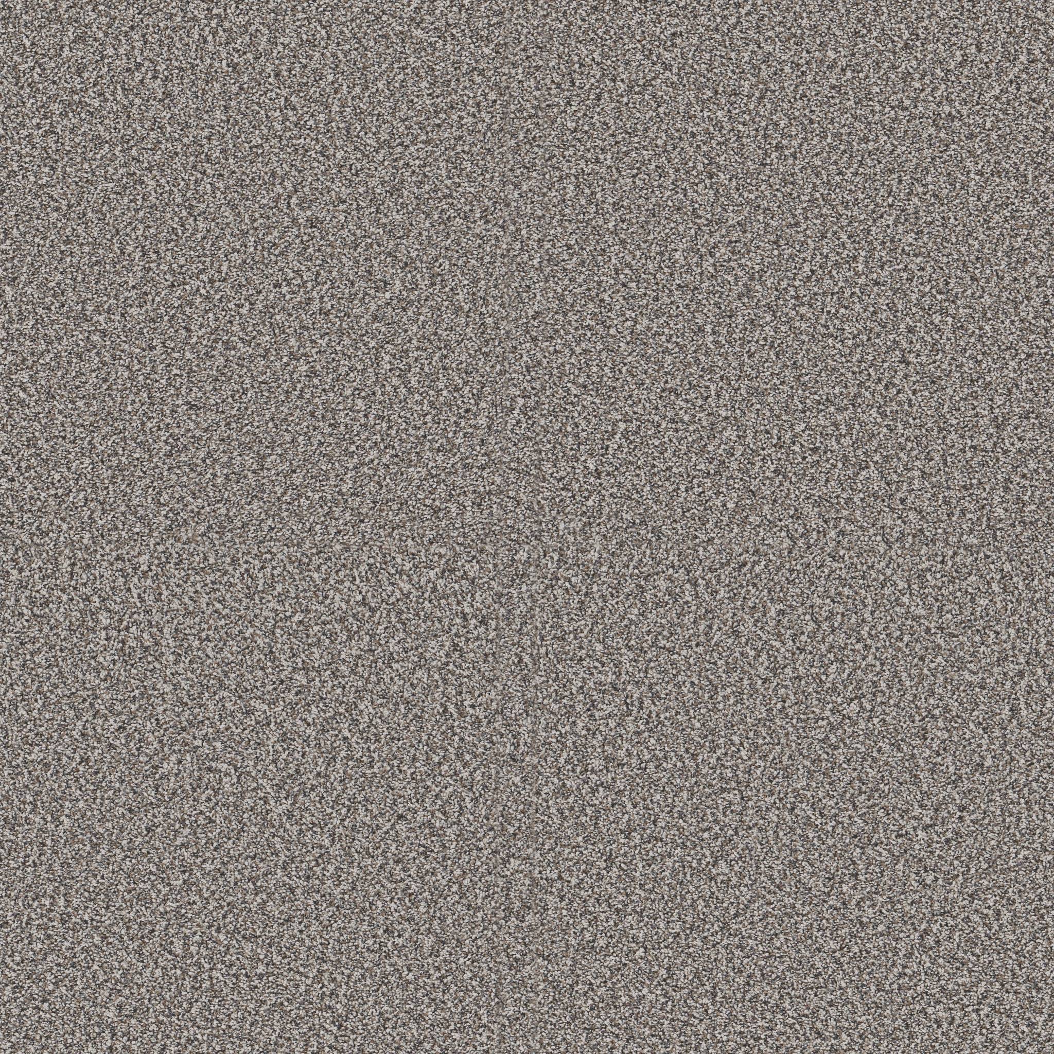 Replenished II Carpet - Fog Zoomed Swatch Image