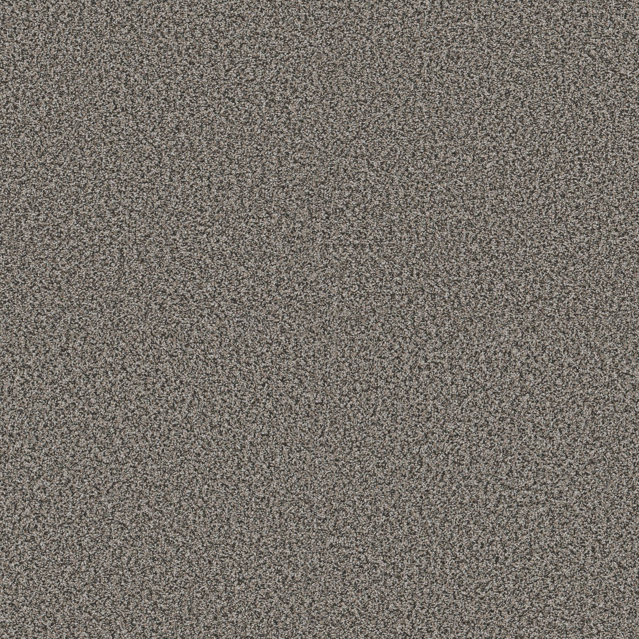 Replenished II Carpet - Shadow Zoomed Swatch Image