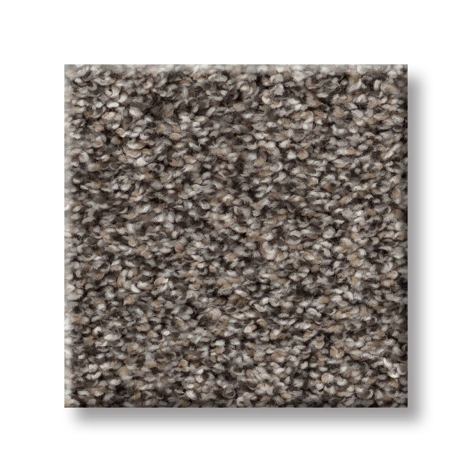 Replenished II Carpet - Shadow Swatch Thumbnail pupop1