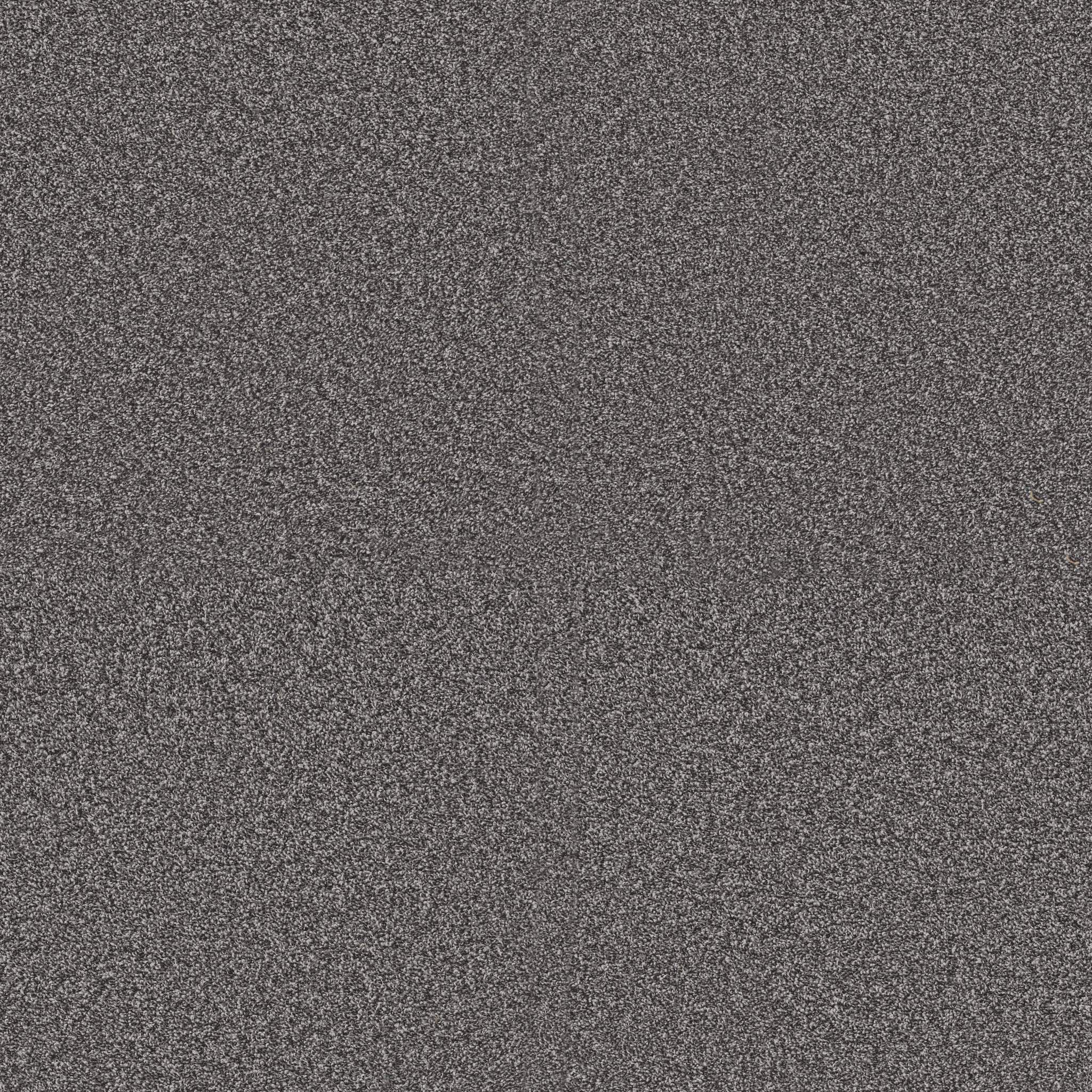 Replenished II Carpet - River Rock Zoomed Swatch Image
