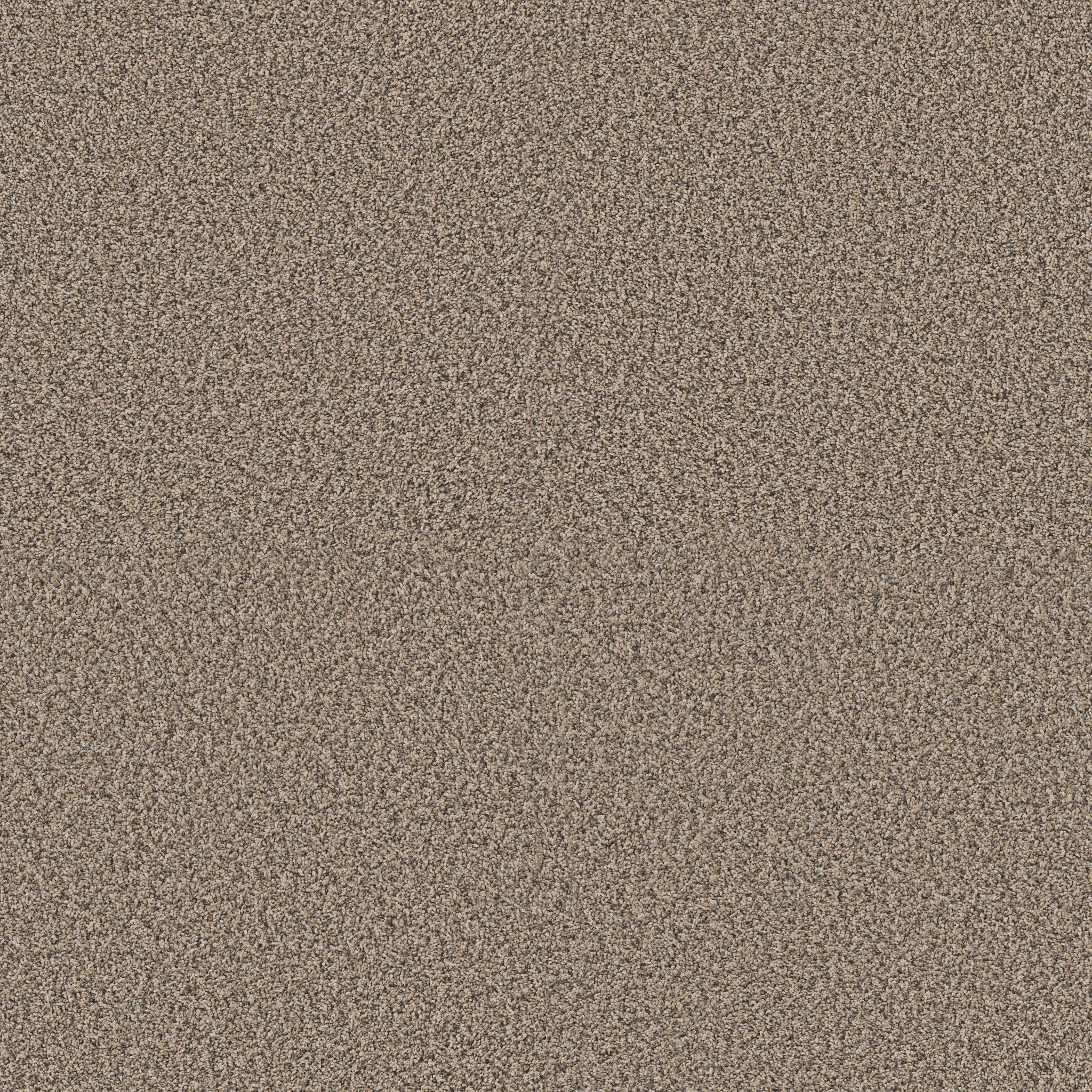 Replenished II Carpet - Khaki Zoomed Swatch Image