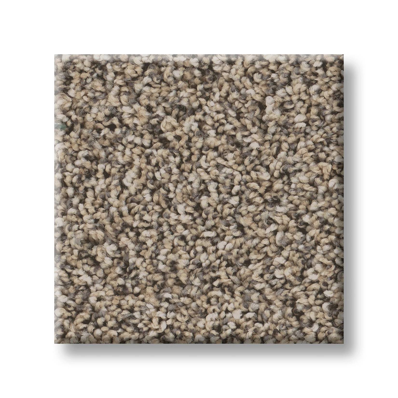 Replenished II Carpet - Khaki Swatch Thumbnail pupop1