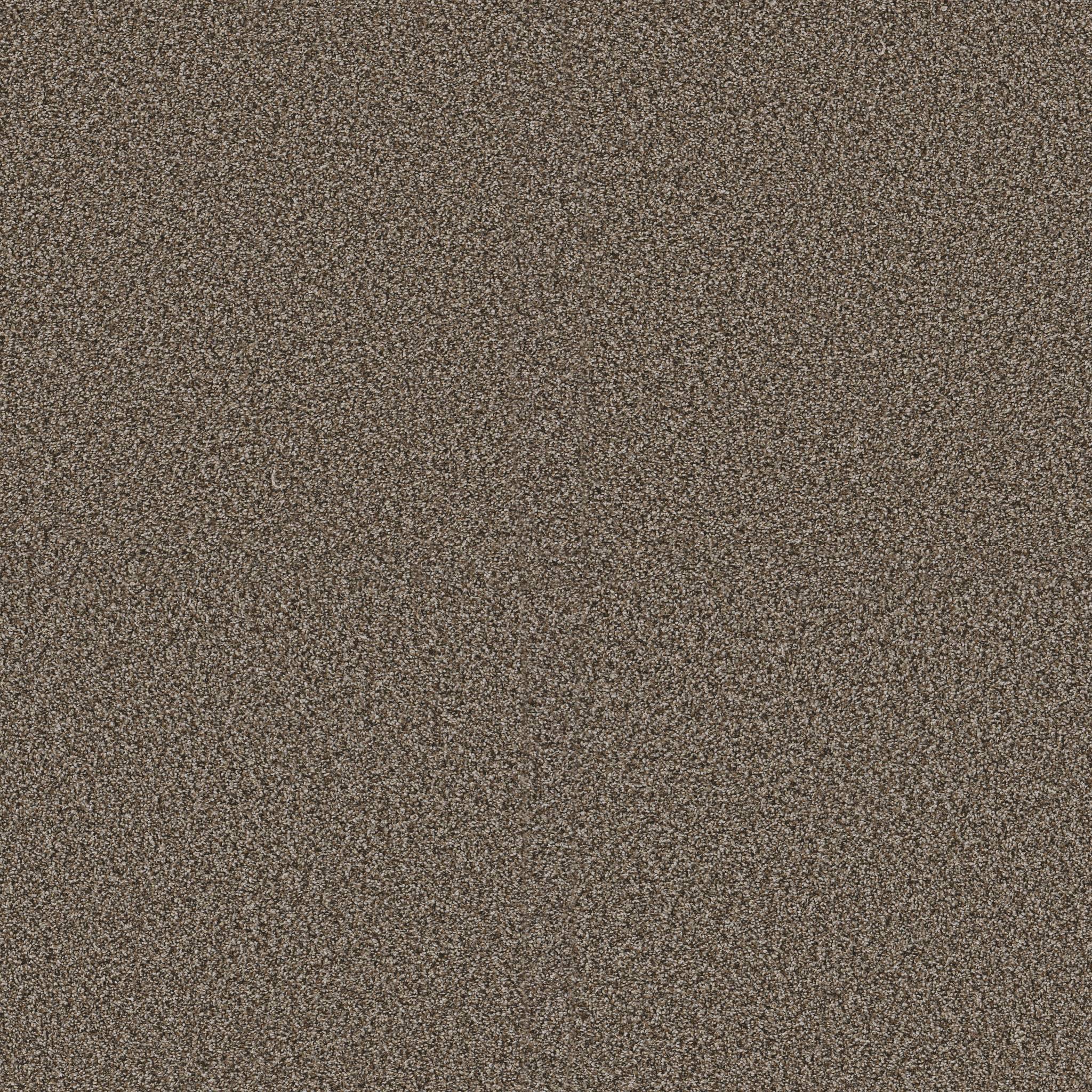 Replenished II Carpet - Fence Post Zoomed Swatch Image