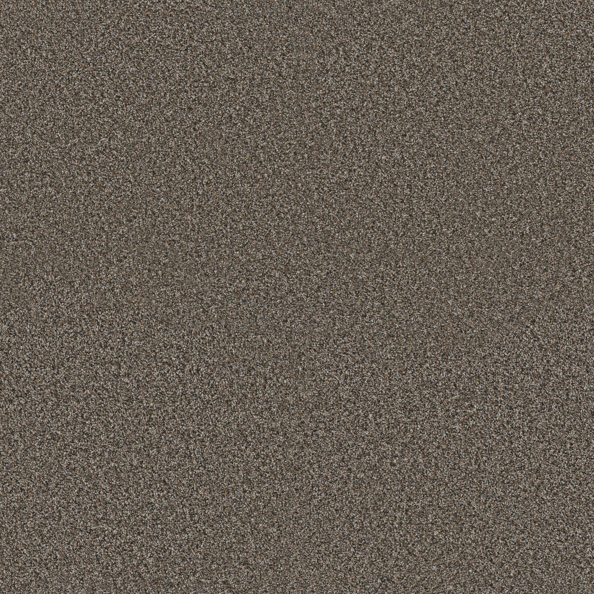 Replenished II Carpet - Mineral Bed Zoomed Swatch Image