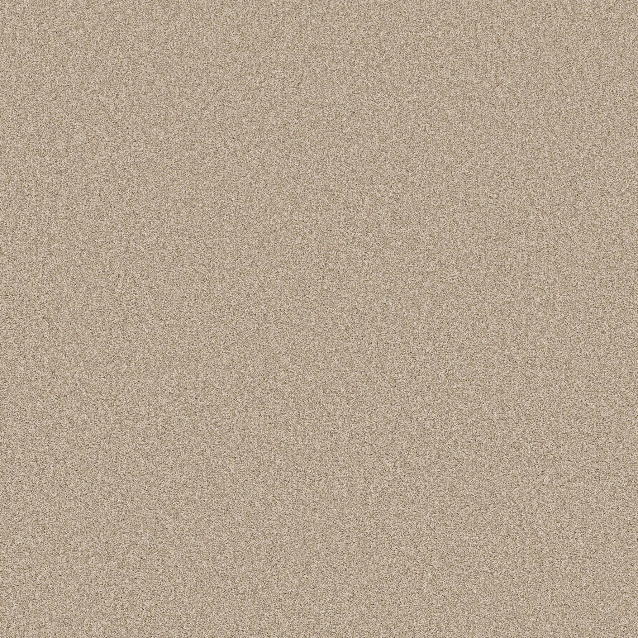 Val Verde I Carpet - Cream Zoomed Swatch Image