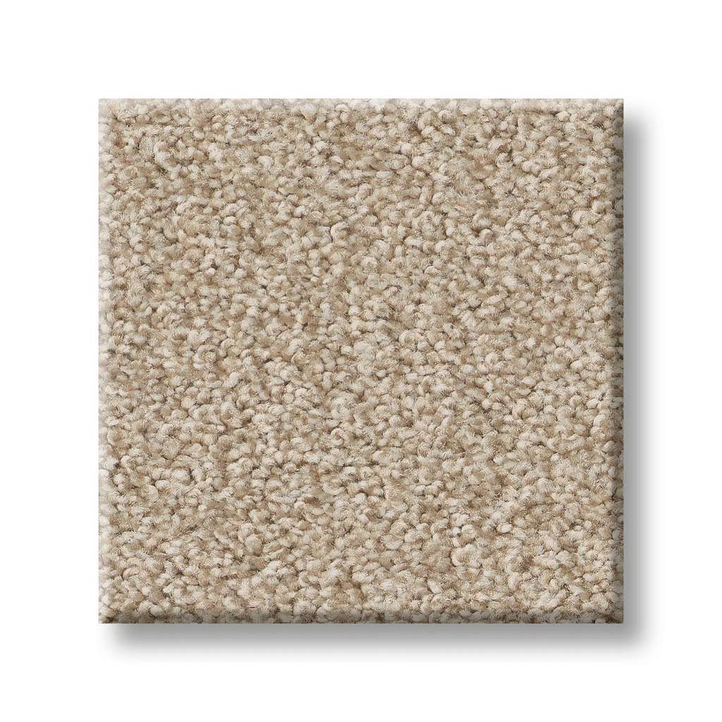 Val Verde I Carpet - Cream  Swatch Image 