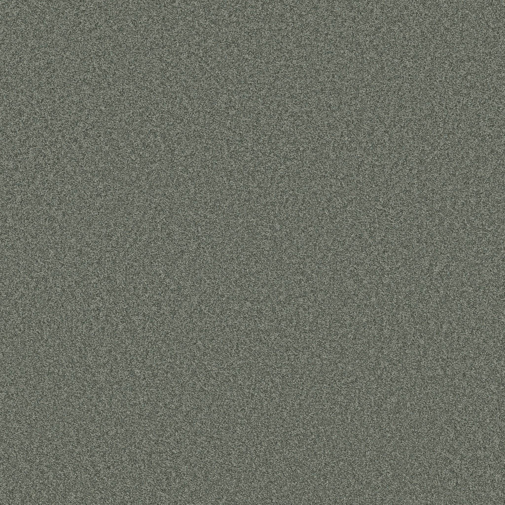 Val Verde I Carpet - Evergreen Zoomed Swatch Image