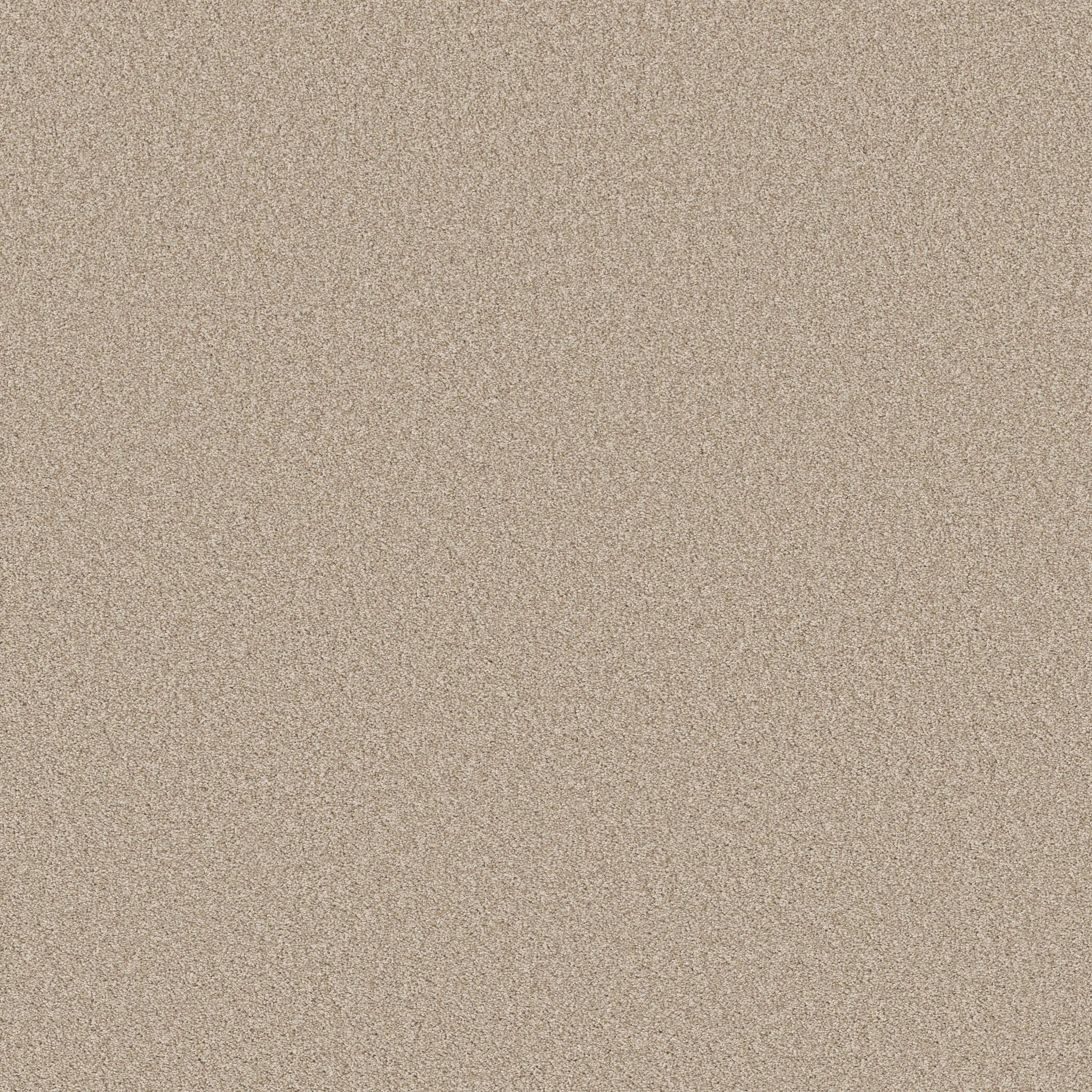 Val Verde I Carpet - Sandstone Zoomed Swatch Image