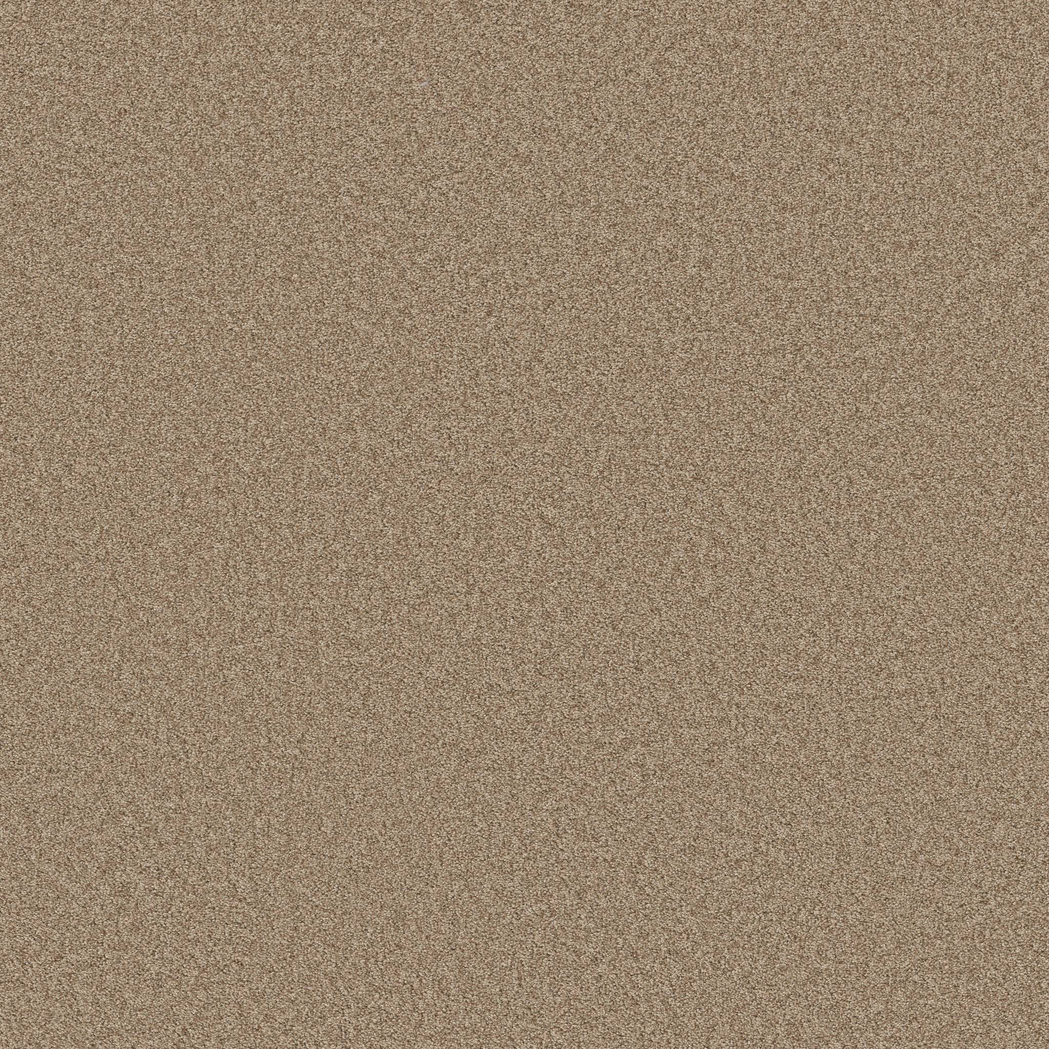 Val Verde I Carpet - Dune Zoomed Swatch Image