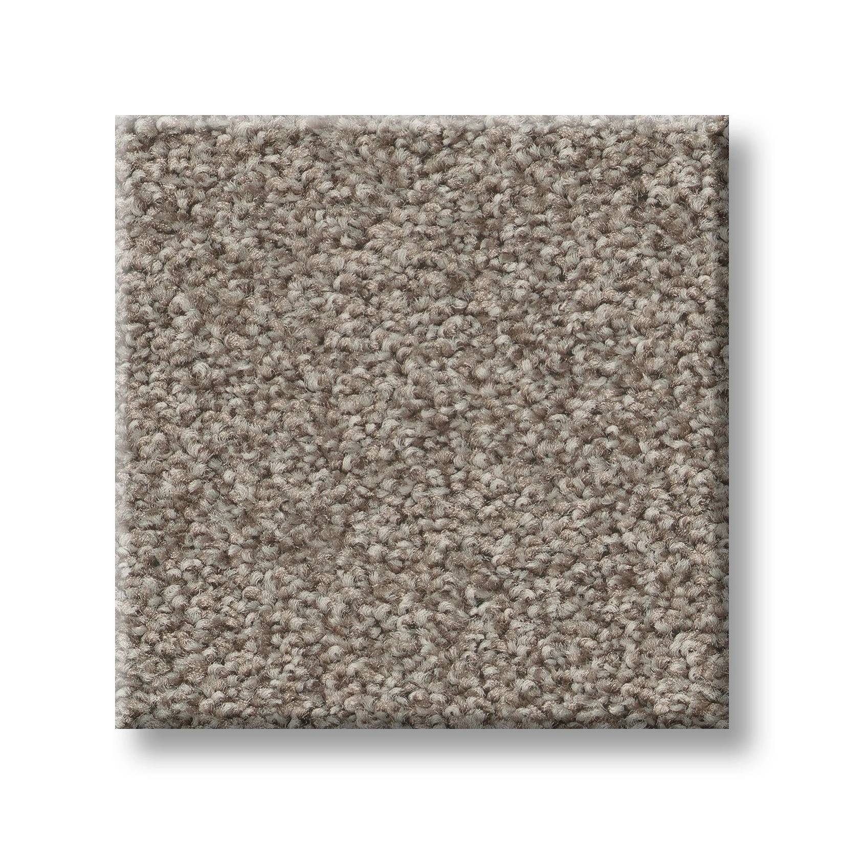 Val Verde I Carpet - Driftwood Swatch Thumbnail pupop1