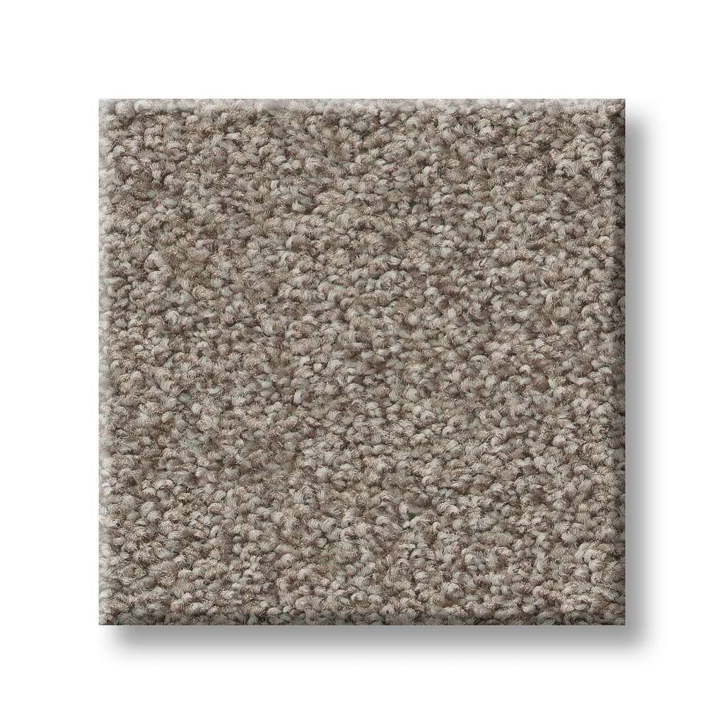 Val Verde I Carpet - Driftwood  Swatch Image 