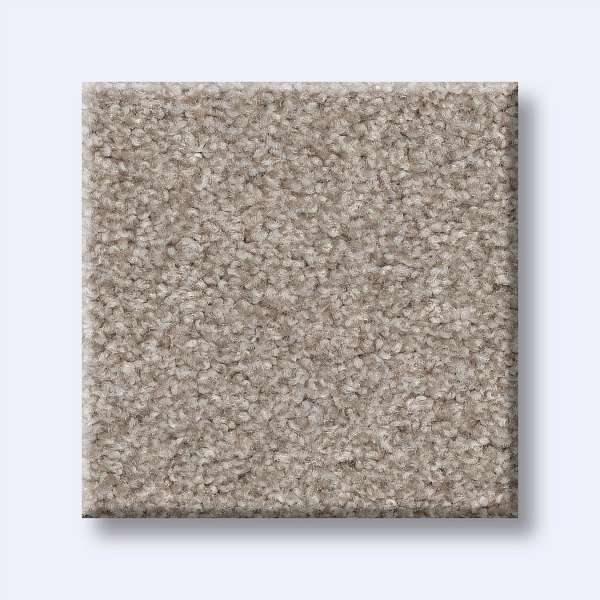 Style Val Verde II Carpet - Fossil Path Swatch