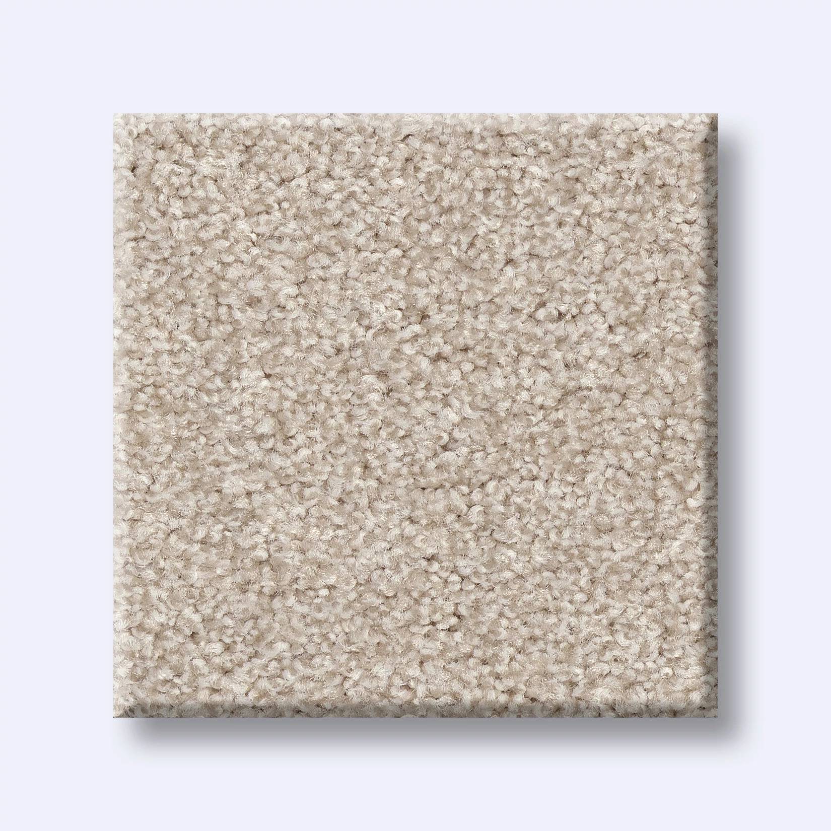 Val Verde II Carpet - Champagne Toast Swatch Thumbnail pupop1