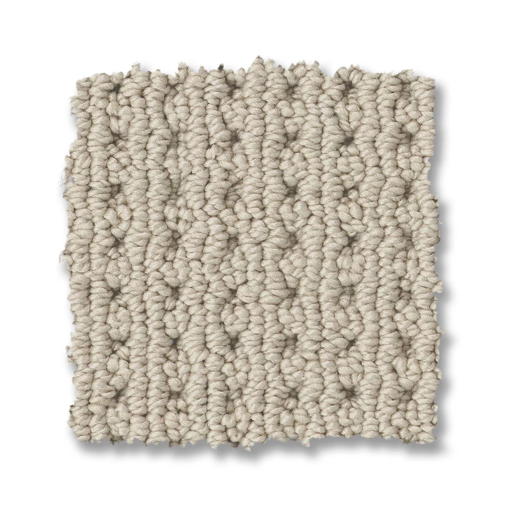 Alamo Heights Carpet - Natural Swatch Thumbnail pupop1