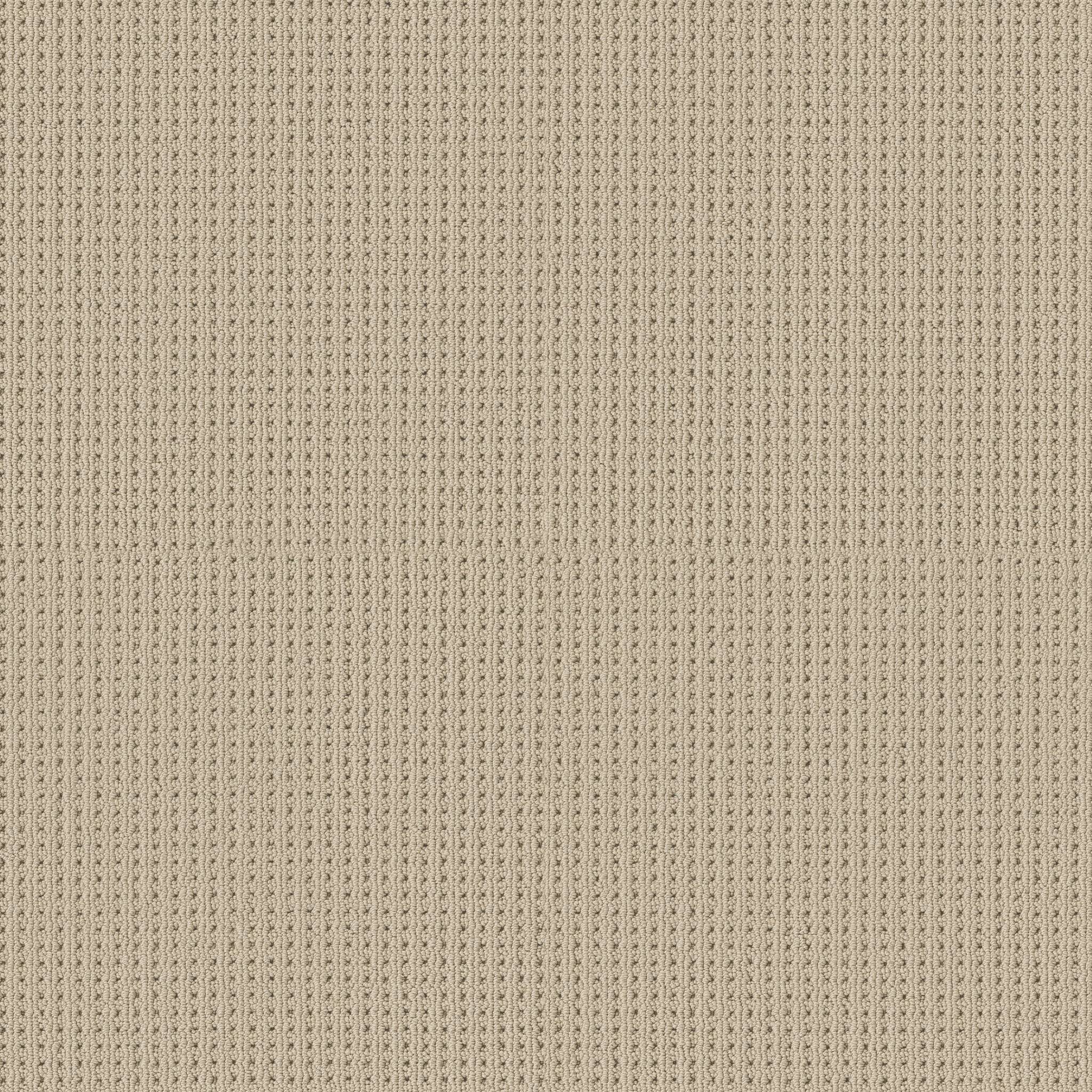 Alamo Heights Carpet - Biscuit Zoomed Swatch Image