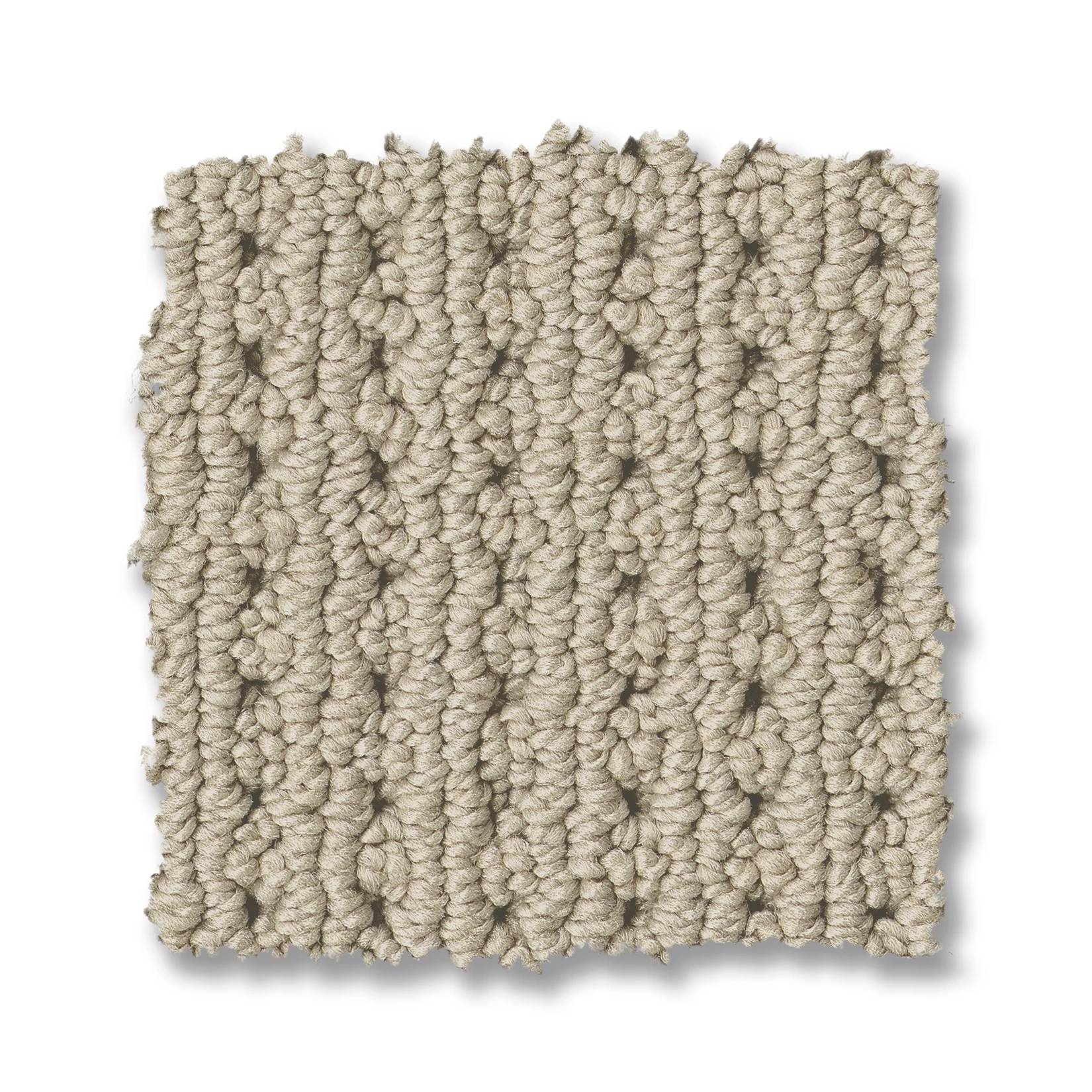 Alamo Heights Carpet - Fleece Swatch Thumbnail pupop1