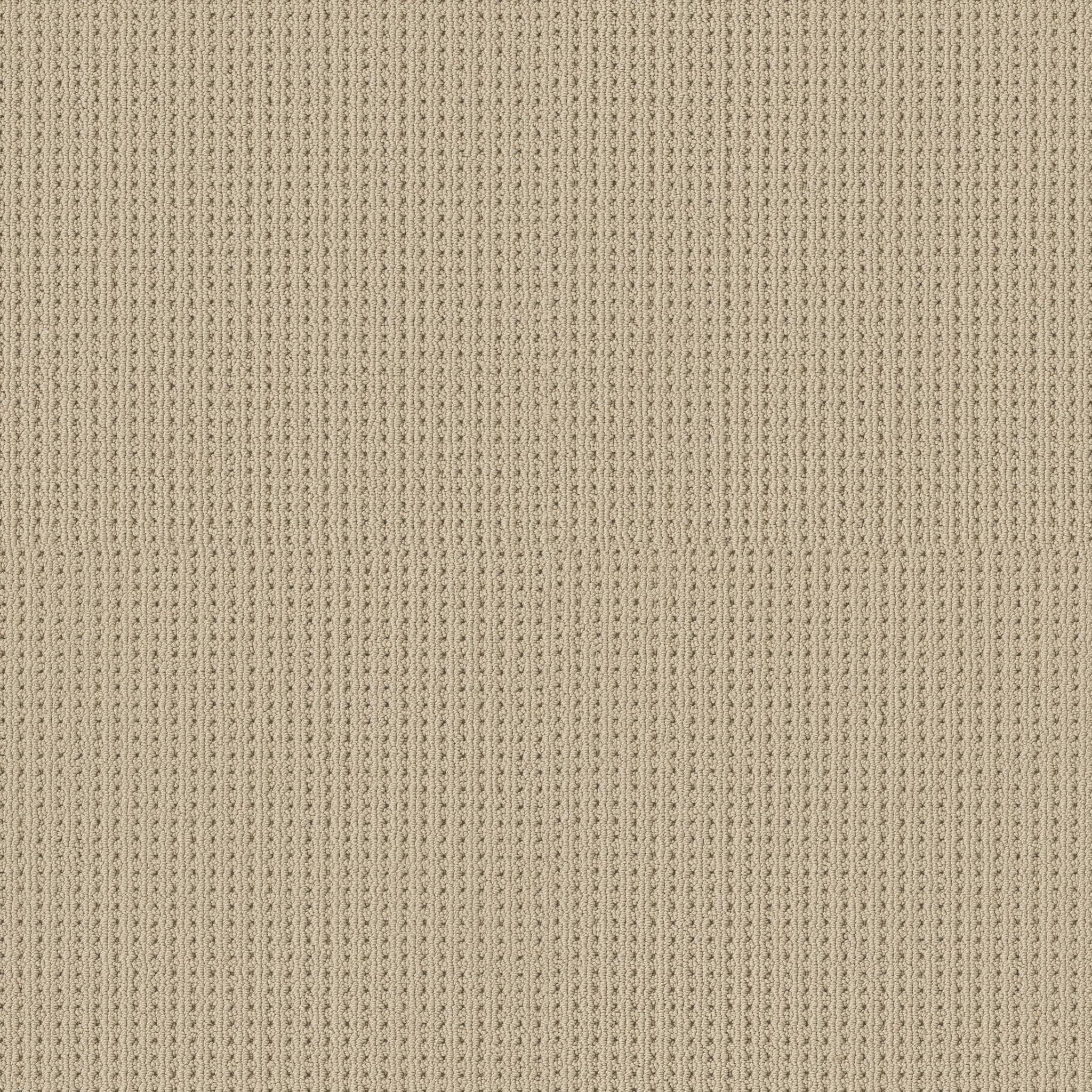 Alamo Heights Carpet - Beach Haven Zoomed Swatch Image