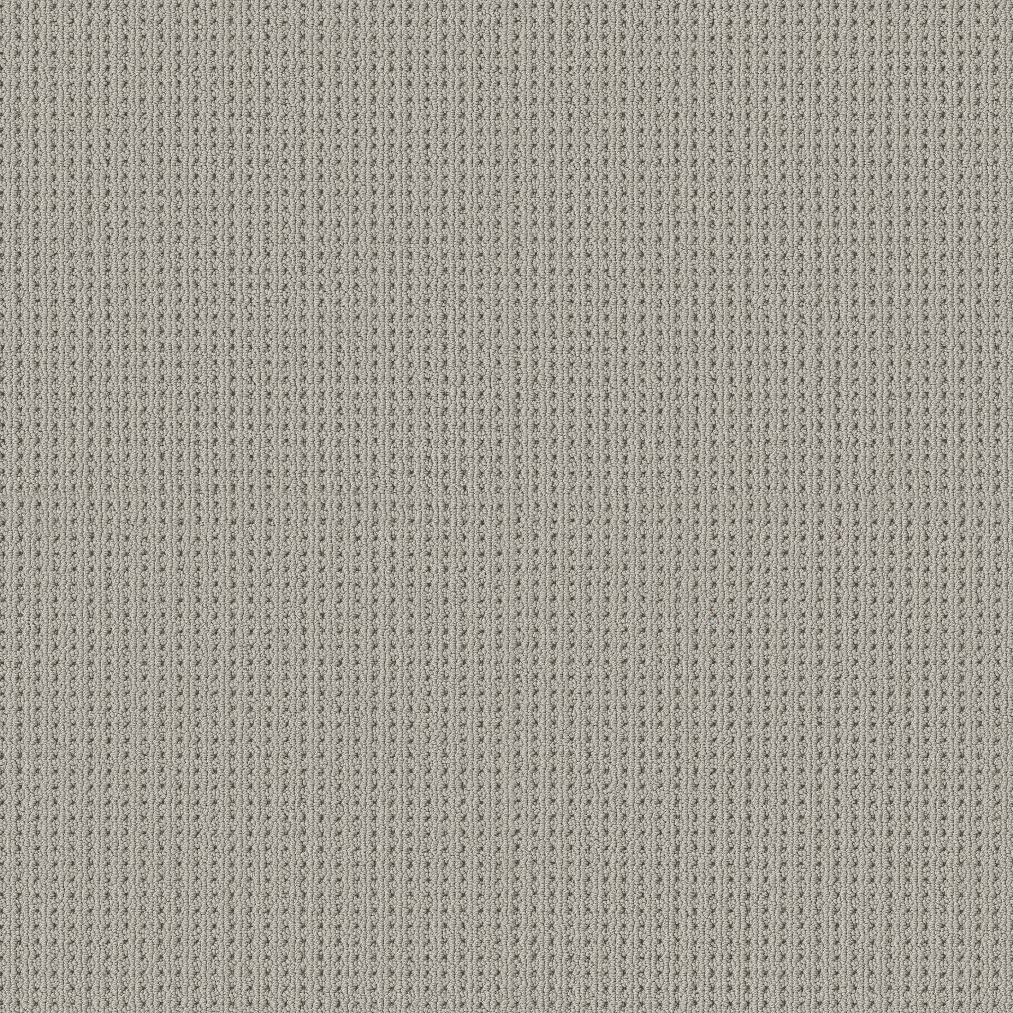 Alamo Heights Carpet - Silverplate Zoomed Swatch Image