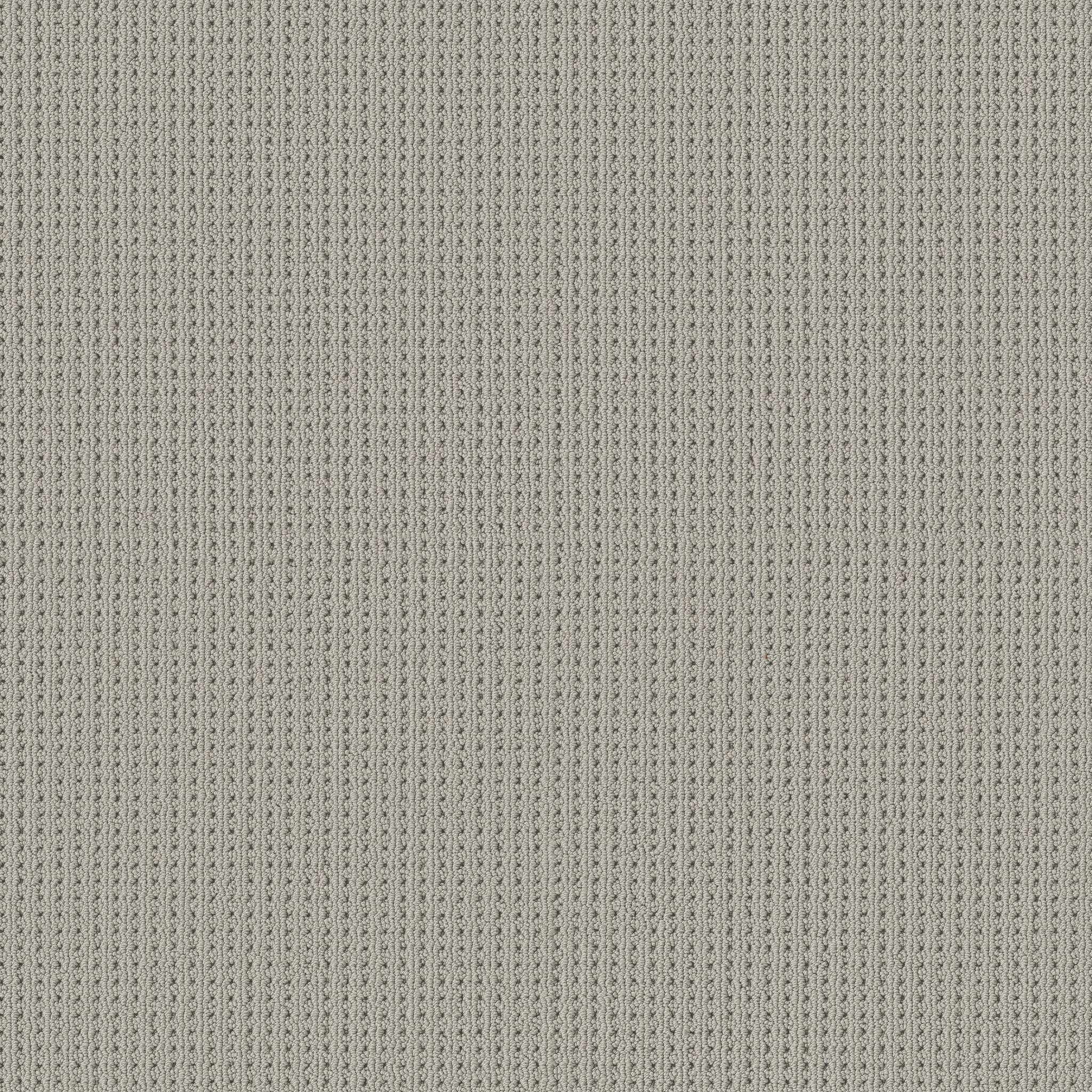 Alamo Heights Carpet - Silverplate Zoomed Swatch Image