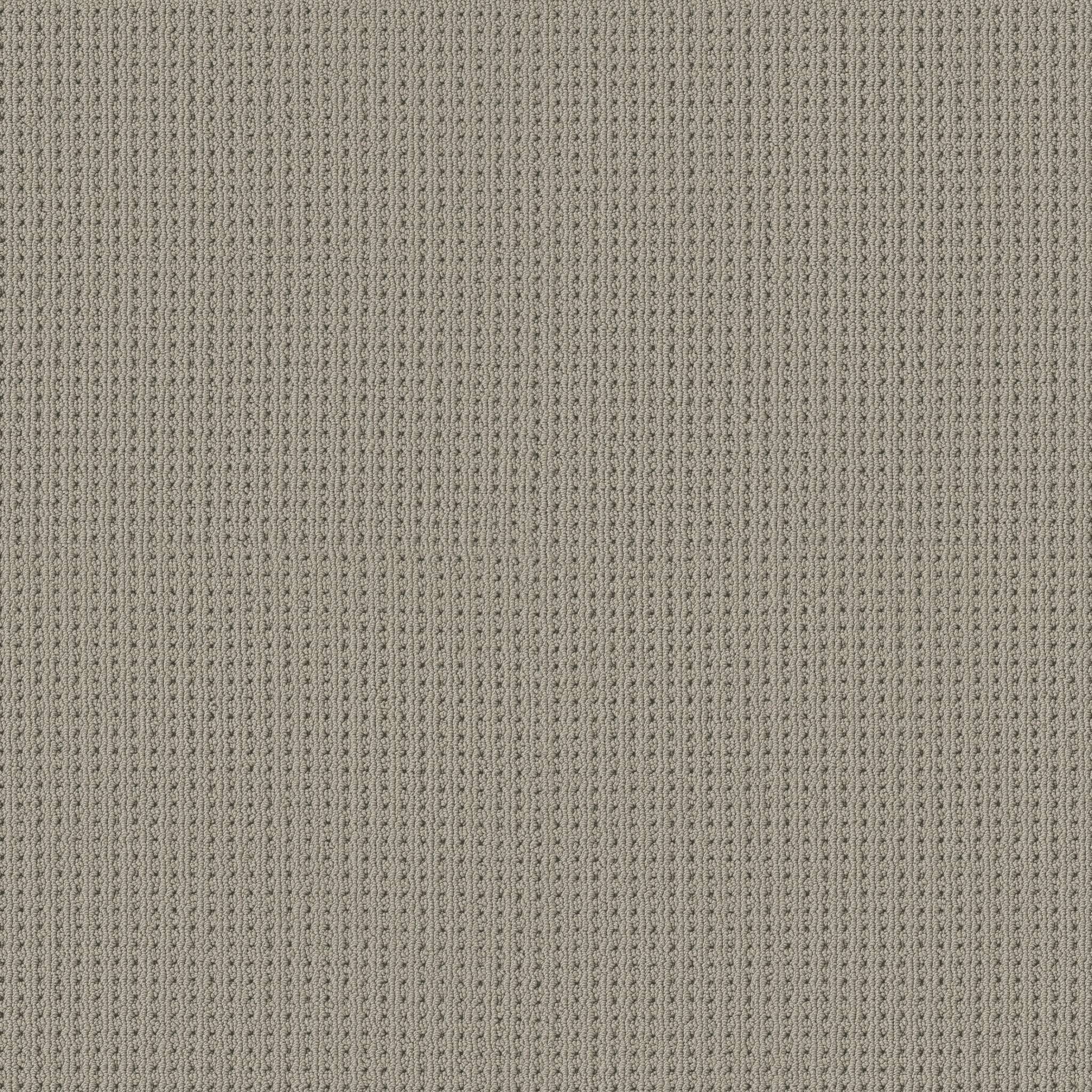 Alamo Heights Carpet - Huskie Zoomed Swatch Image