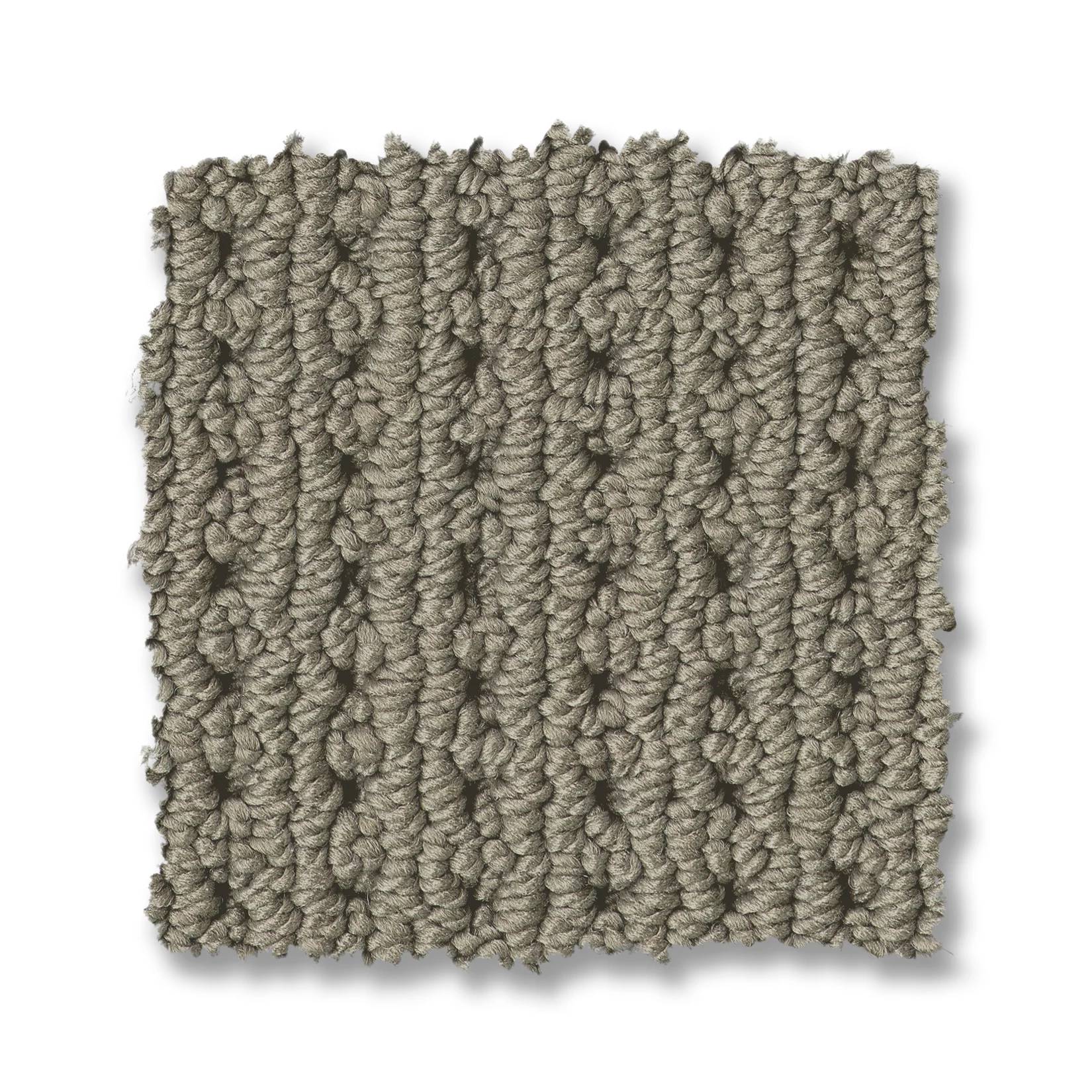 Alamo Heights Carpet - Pewter Swatch Thumbnail pupop1
