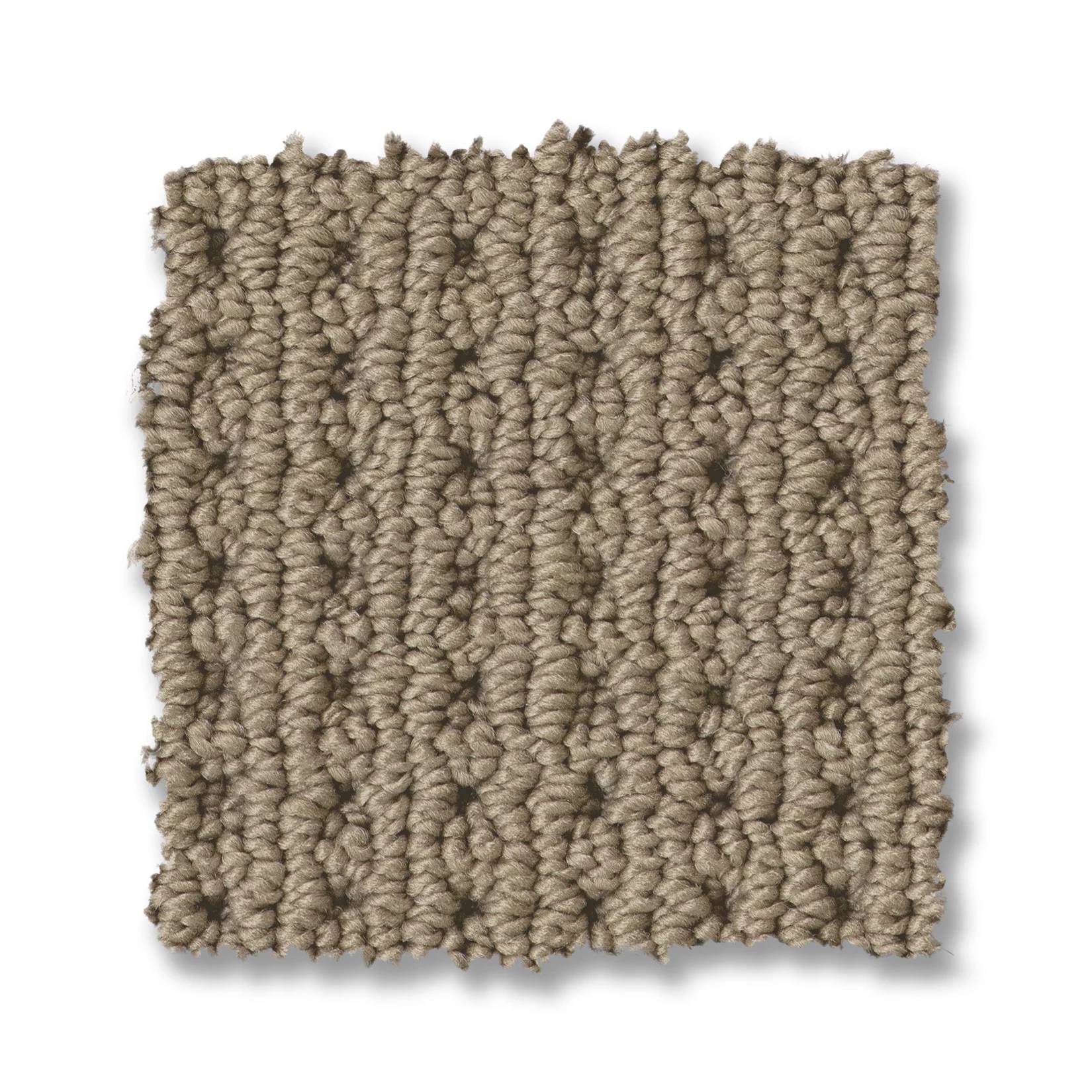 Alamo Heights Carpet - Latte Swatch Thumbnail pupop1