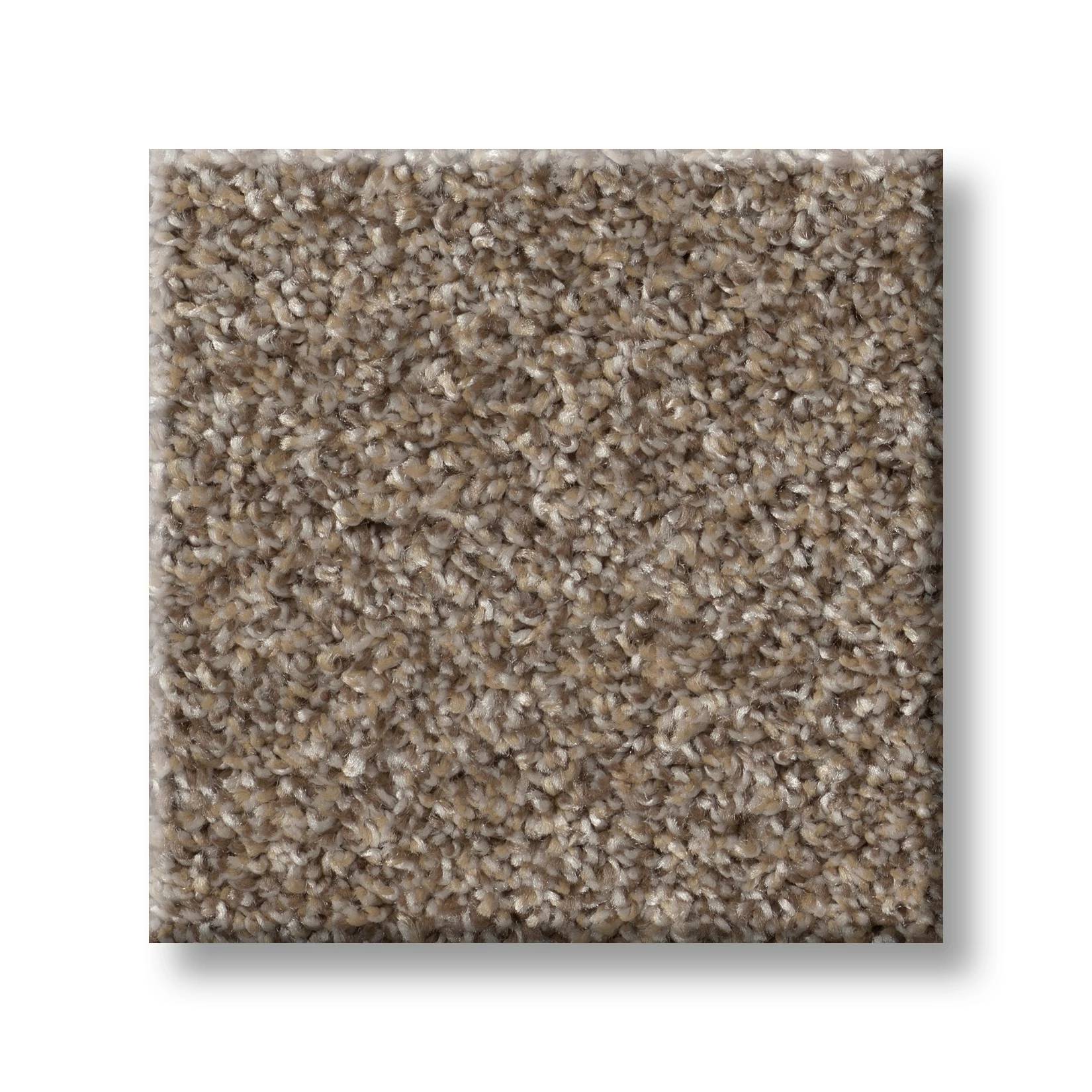 Wise Choice Carpet - Hearth Stone Swatch Thumbnail pupop1