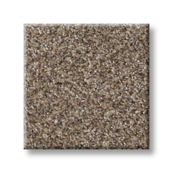 Style Wise Choice Carpet - Hearth Stone Swatch