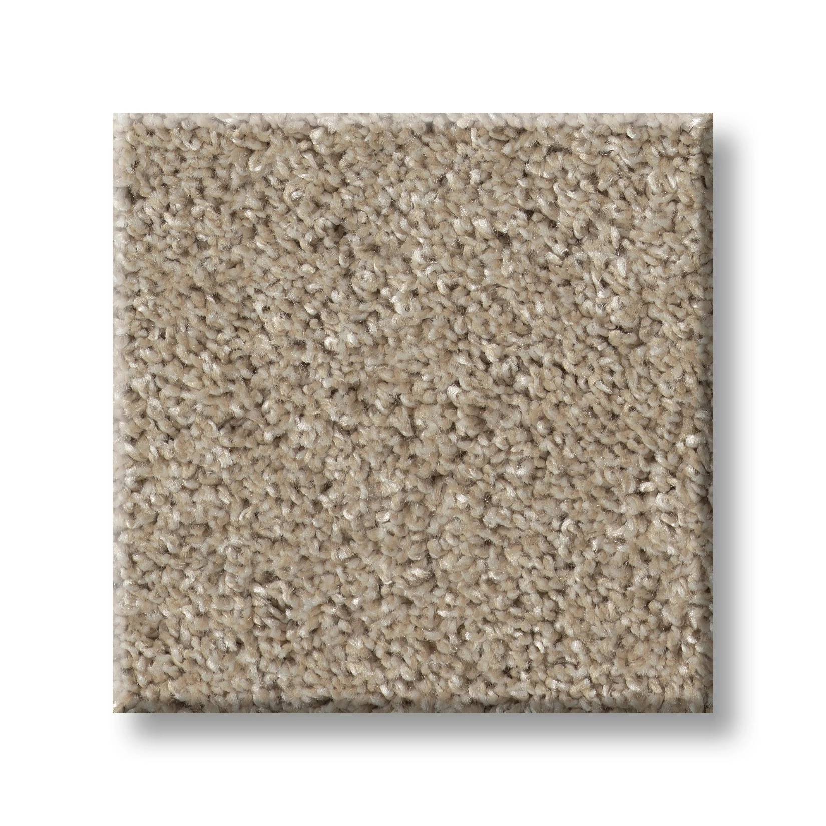 Wise Choice Carpet - Natural Swatch Thumbnail pupop1