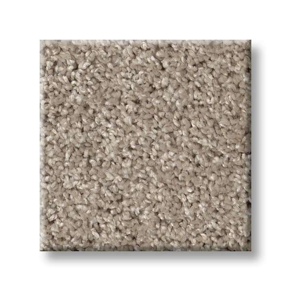 Style Wise Choice Carpet - Sculpture Swatch