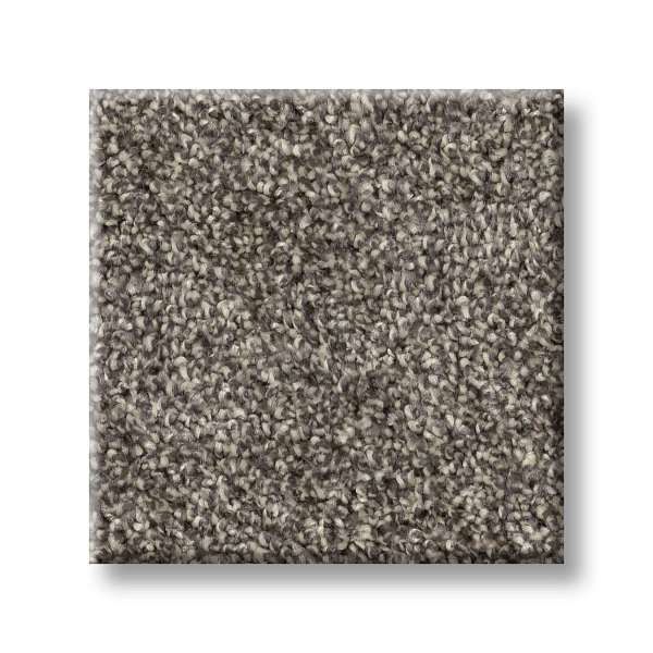 Style Wise Choice Carpet - Worn Path Swatch