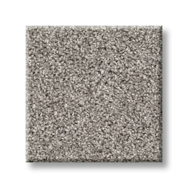 Style Wise Choice Carpet - Shadow Swatch