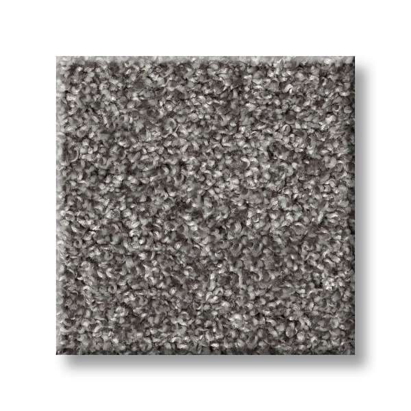 Style Wise Choice Carpet - Aircraft Swatch